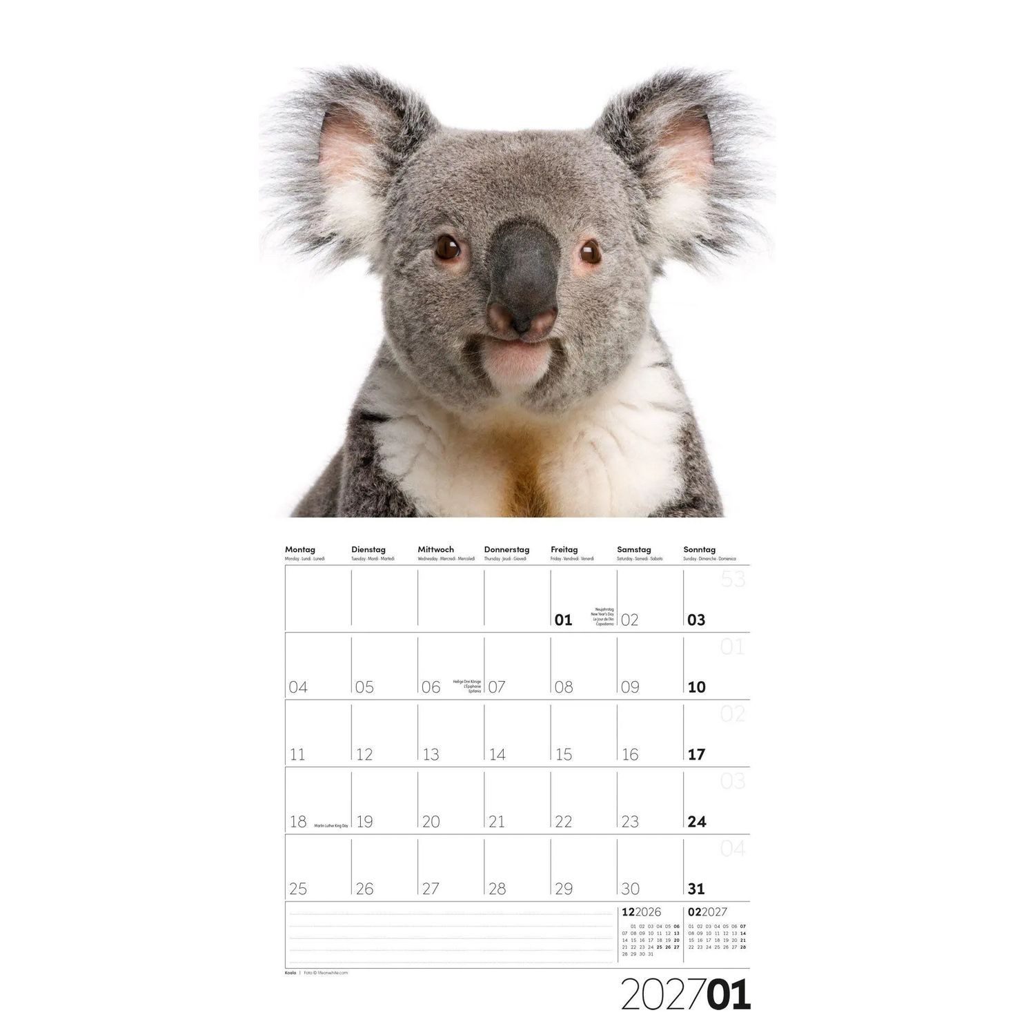 Ackermann Wandkalender Animals Kalender 2027 - 30x30 - Art12