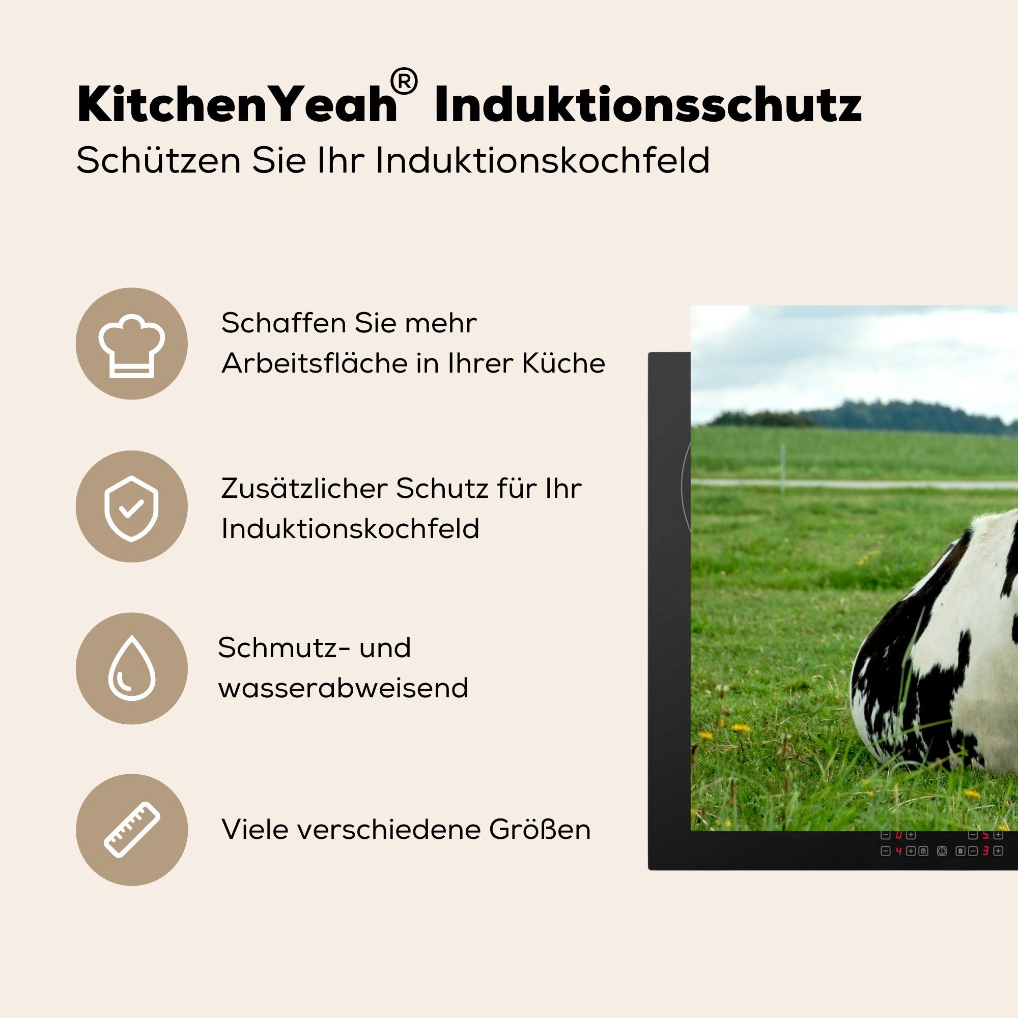 Friesland, cm, Vinyl, - küche, die (1 - MuchoWow Induktionskochfeld Ceranfeldabdeckung Schutz 81x52 tlg), Herdblende-/Abdeckplatte Kuh Tier für