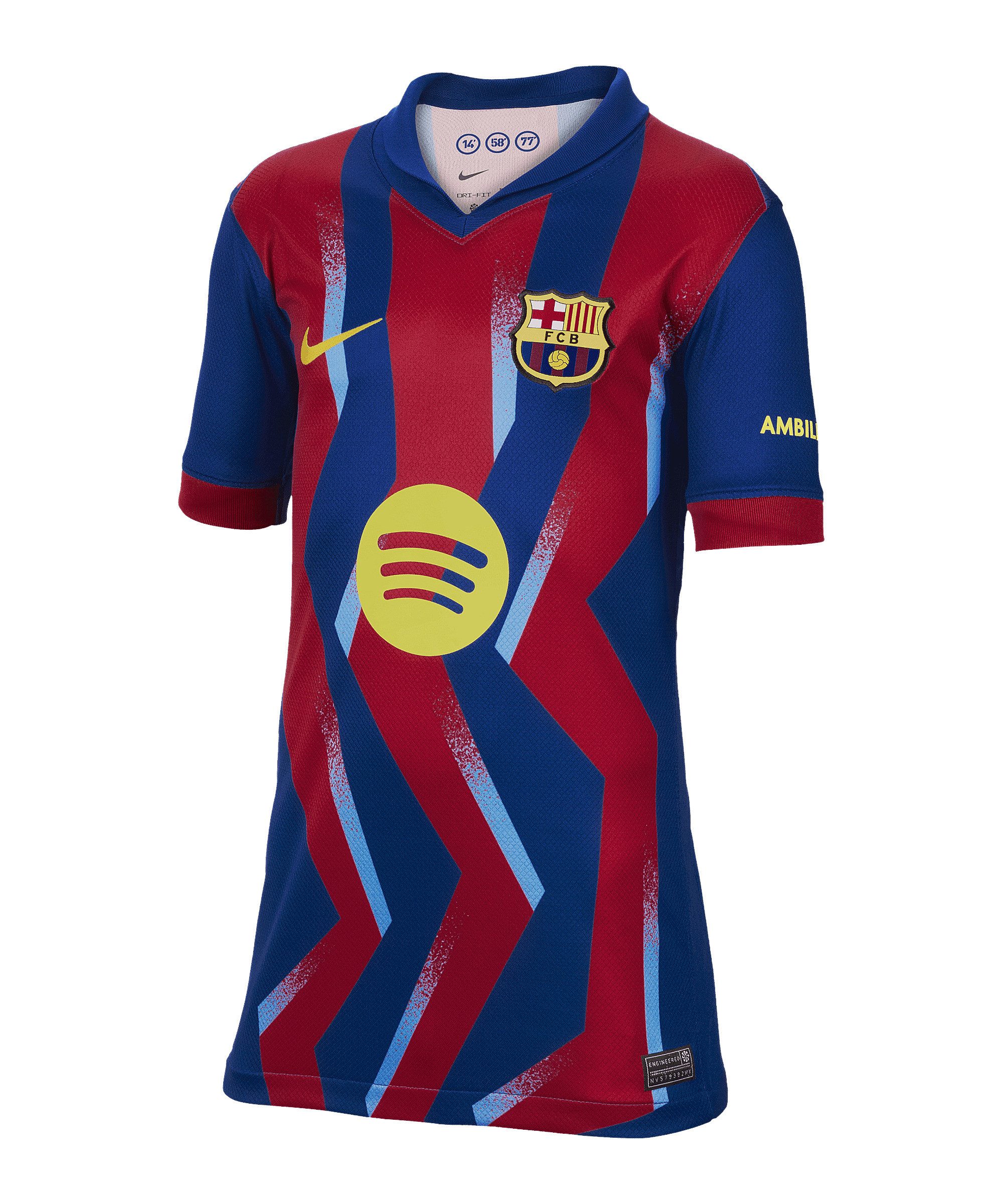 Nike Fußballtrikot Nike Performance Teamsport