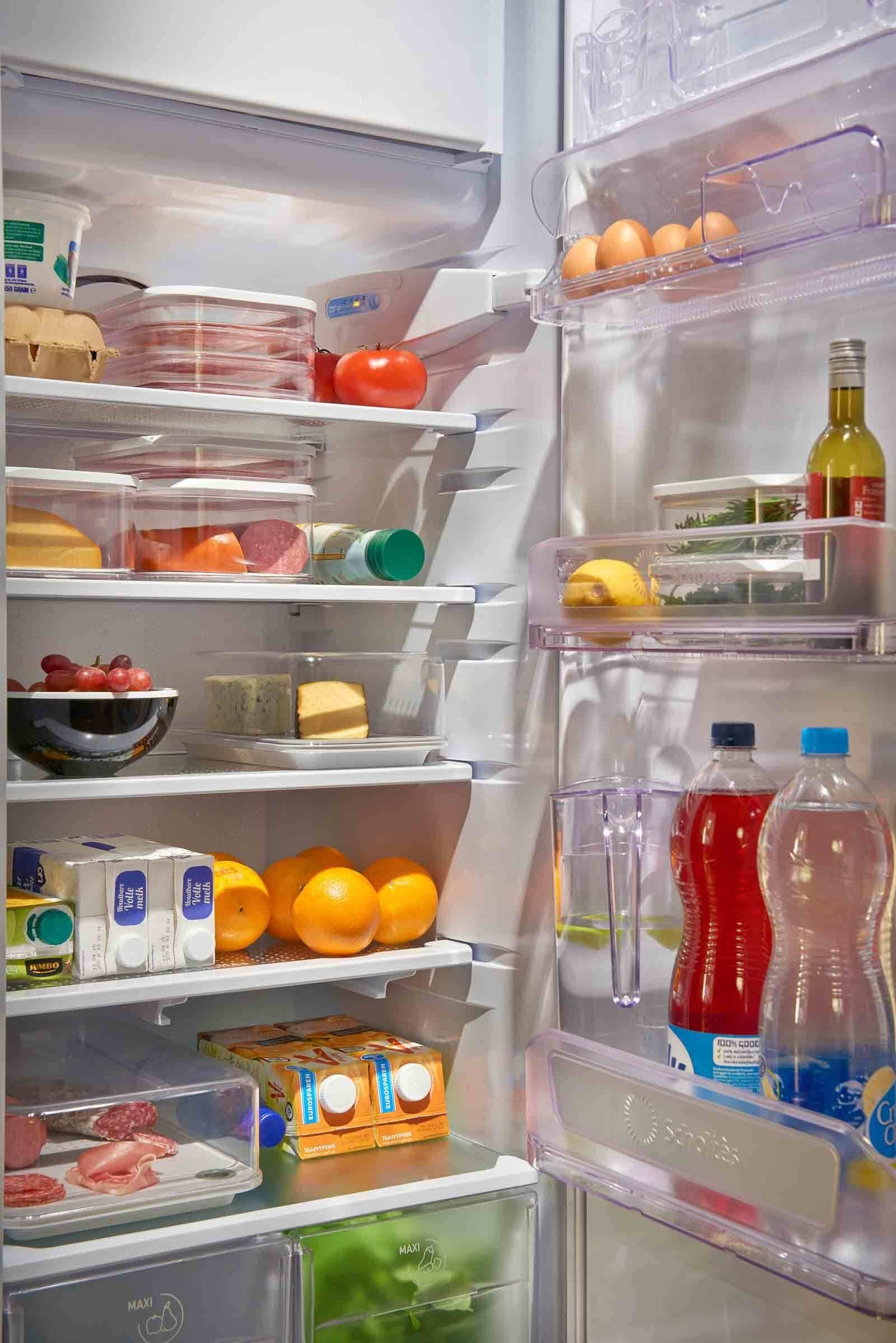 Mepal Frischhaltedose Modula Frühstücksdosen XXL 4800 ml 2er Set, Kunststoff, (2-tlg)