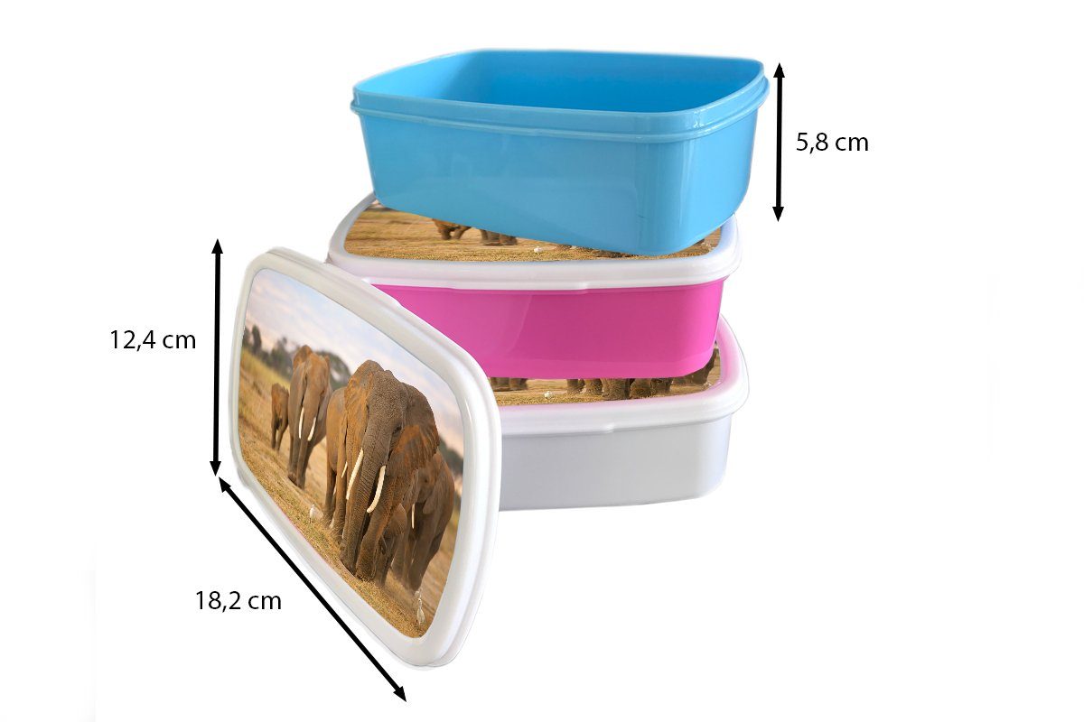 Kunststoff, Brotdose Kinder, (2-tlg), für Elefanten, Familie Brotbox Erwachsene, der Mädchen, Kunststoff Snackbox, Lunchbox rosa MuchoWow
