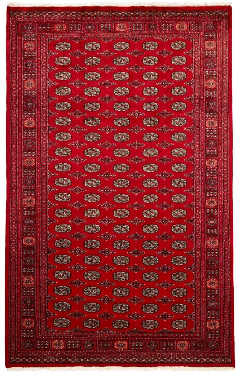 Orientteppich Pakistan Buchara 2ply 199x314 Handgeknüpfter Orientteppich, Nain Trading, rechteckig, Höhe: 8 mm