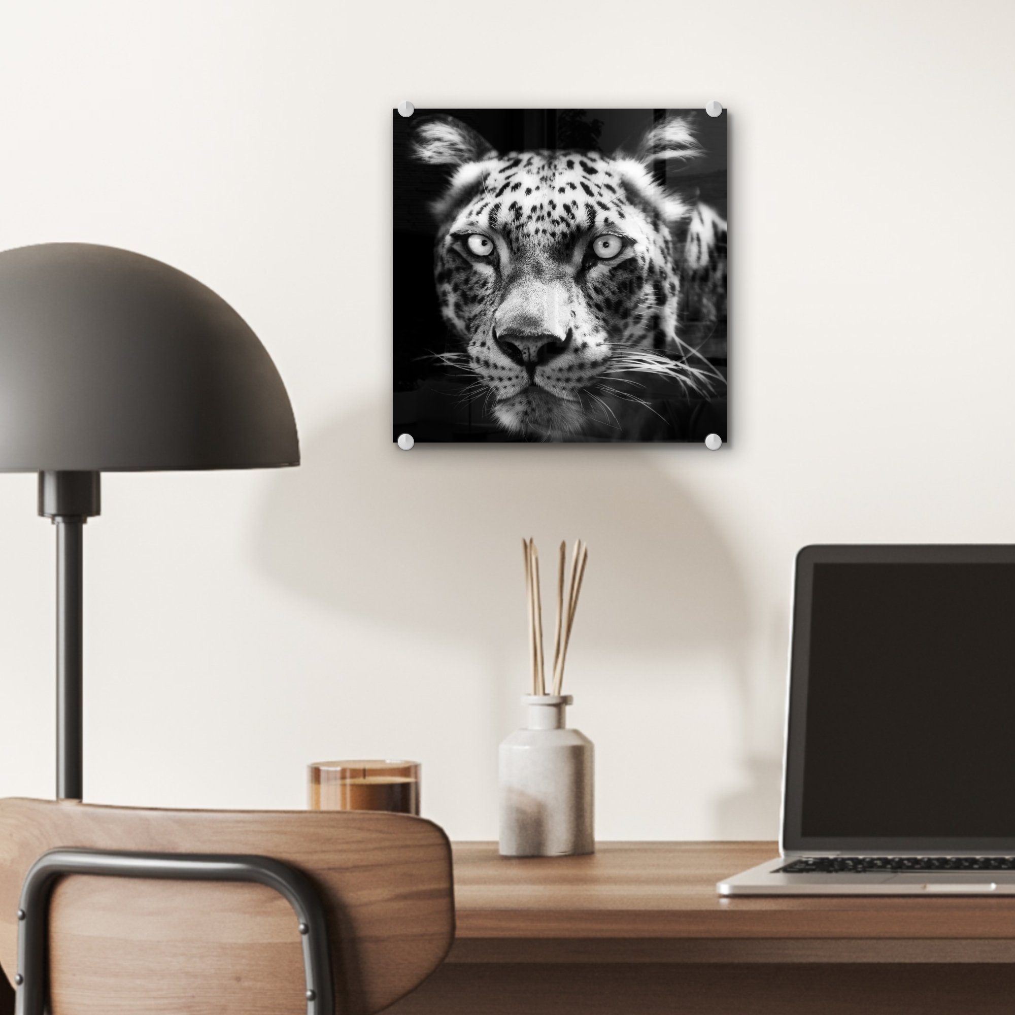 MuchoWow Acrylglasbild Nahaufnahme Persischer Leopard Glasbilder Schwarz, Bilder Glas schwarzem (1 Wandbild auf St), in auf - - Glas - Foto Wanddekoration Hintergrund vor