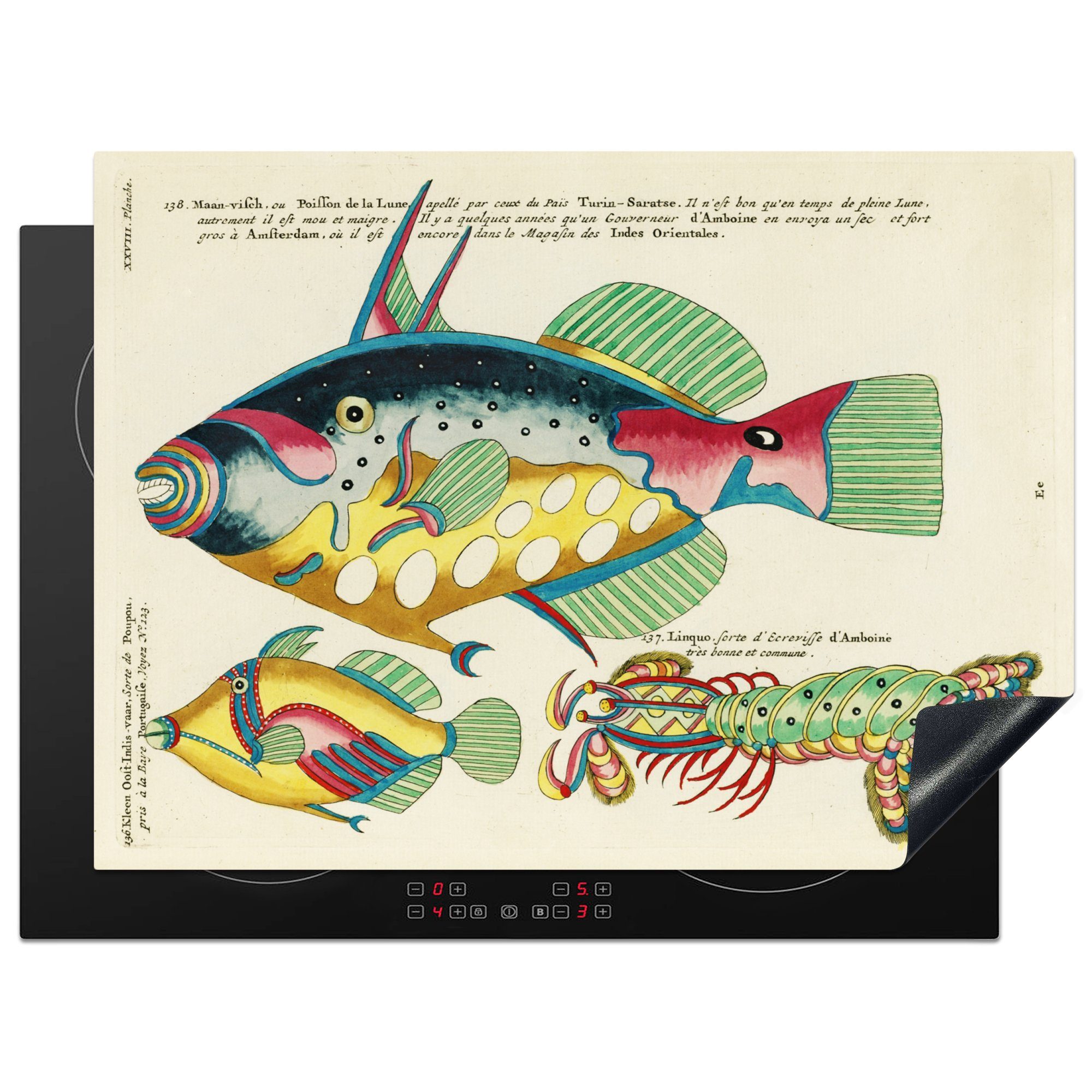 MuchoWow Herdblende-/Abdeckplatte Fisch - Design - Jahrgang, Vinyl, (1 tlg), 70x52 cm, Mobile Arbeitsfläche nutzbar, Ceranfeldabdeckung