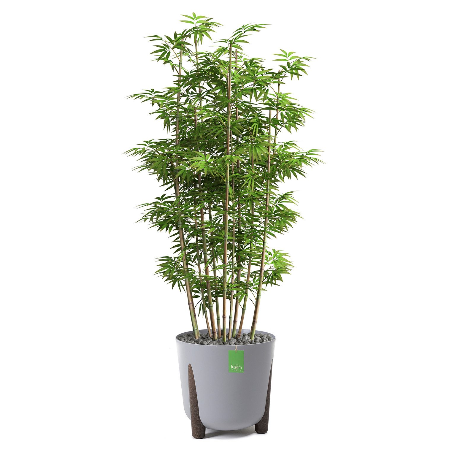 KAGM Blumentopf Pflanztopf Blumentopf mit Füßen günstig online kaufen