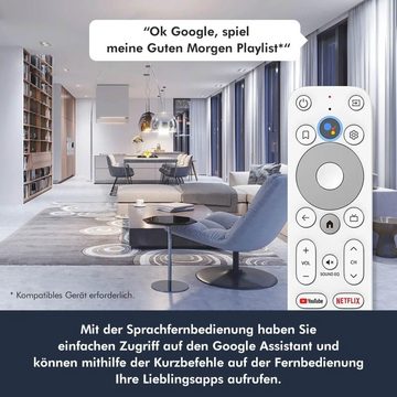 Homatics Streaming-Box Box R 4K Plus Android TV mit Sound & Sound 2.1 TWS-Lautsprecher