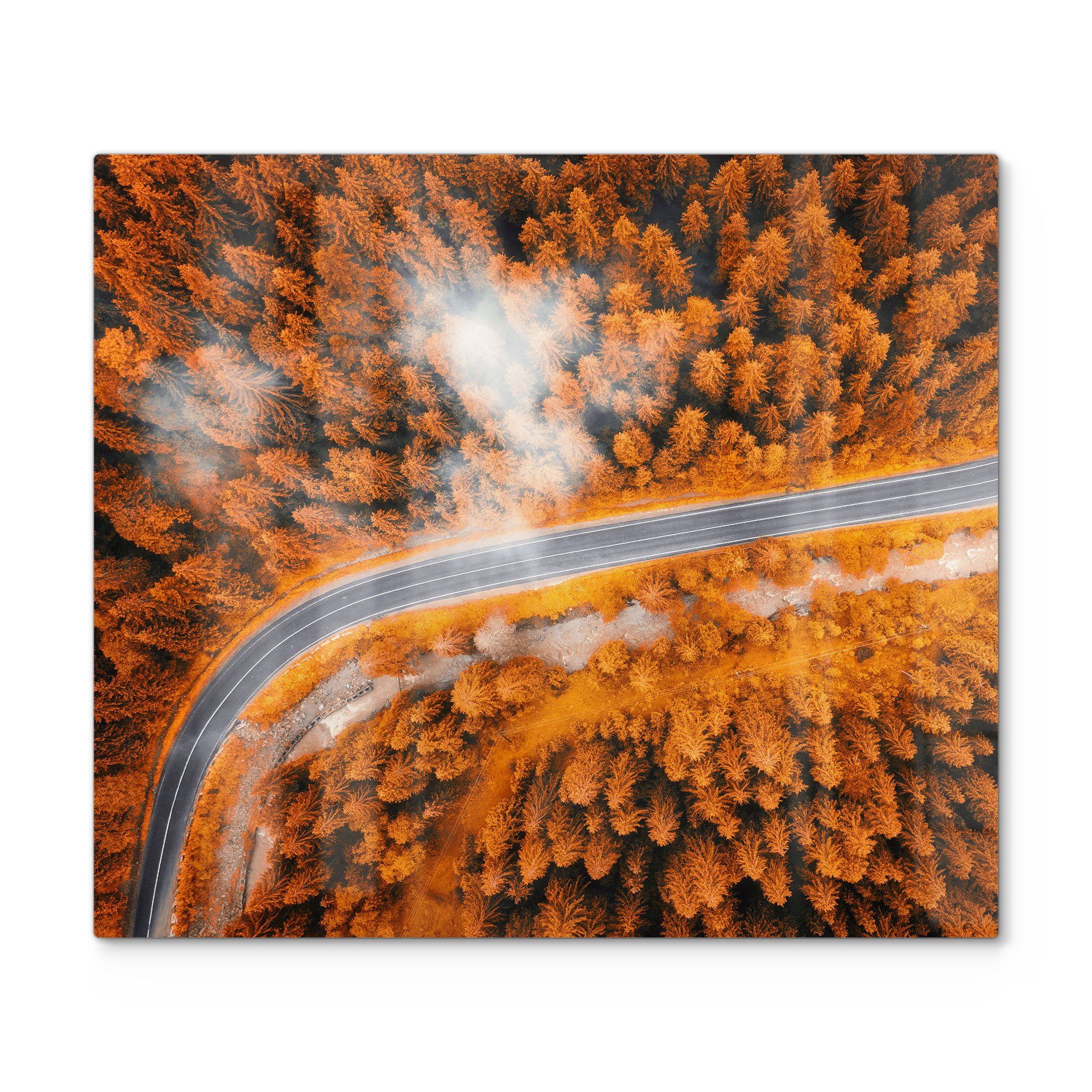 DEQORI Herdblende-/Abdeckplatte 'Herbstlicher Kiefernwald', Glas, (1 tlg), Glas Herdabdeckplatte Ceranfeld Herd | Herdabdeckplatten
