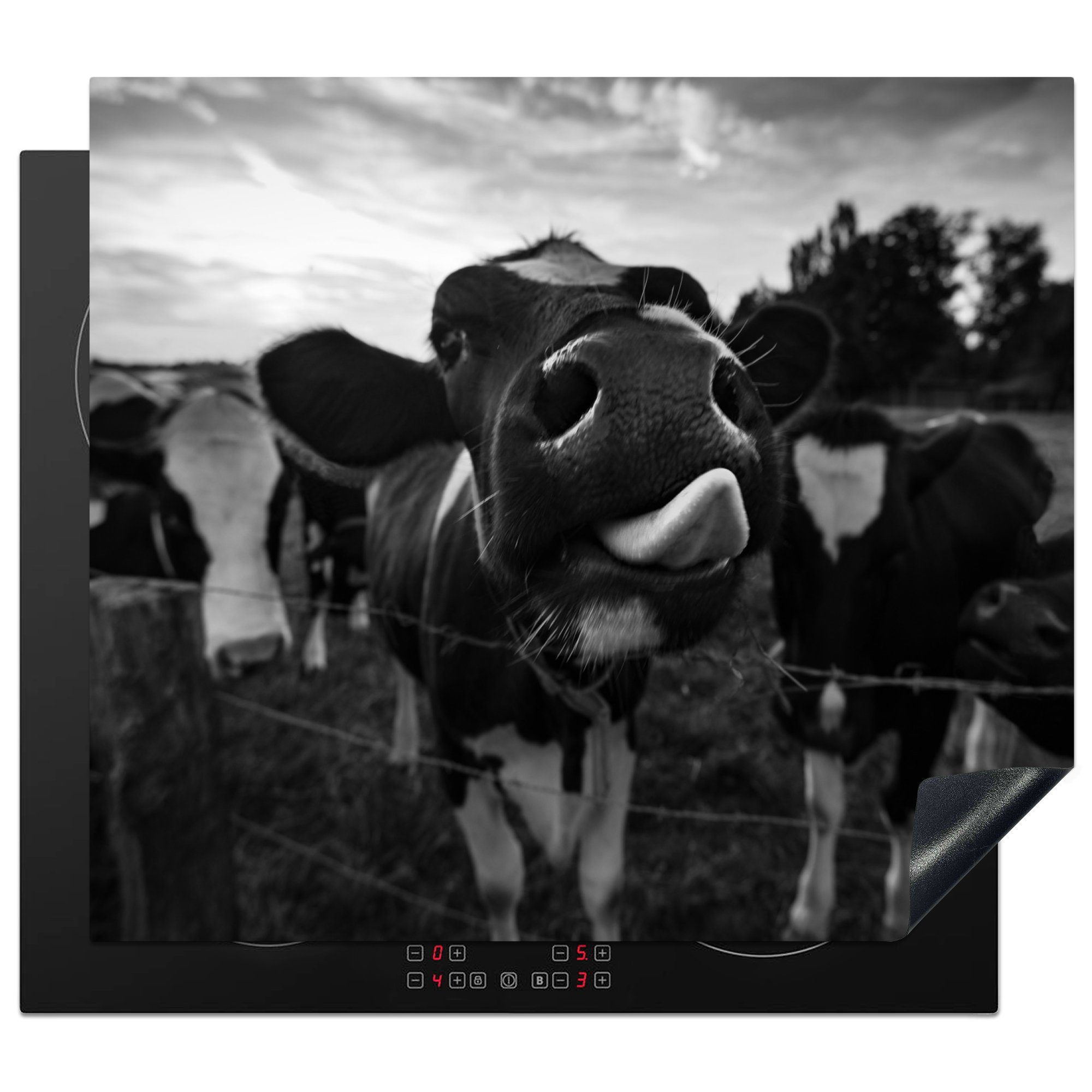 MuchoWow Herdblende-/Abdeckplatte Schwarz - Weiß - Kuh - Tiere, Vinyl, (1 tlg), 59x51 cm, Induktionsschutz, Induktionskochfeld, Ceranfeldabdeckung