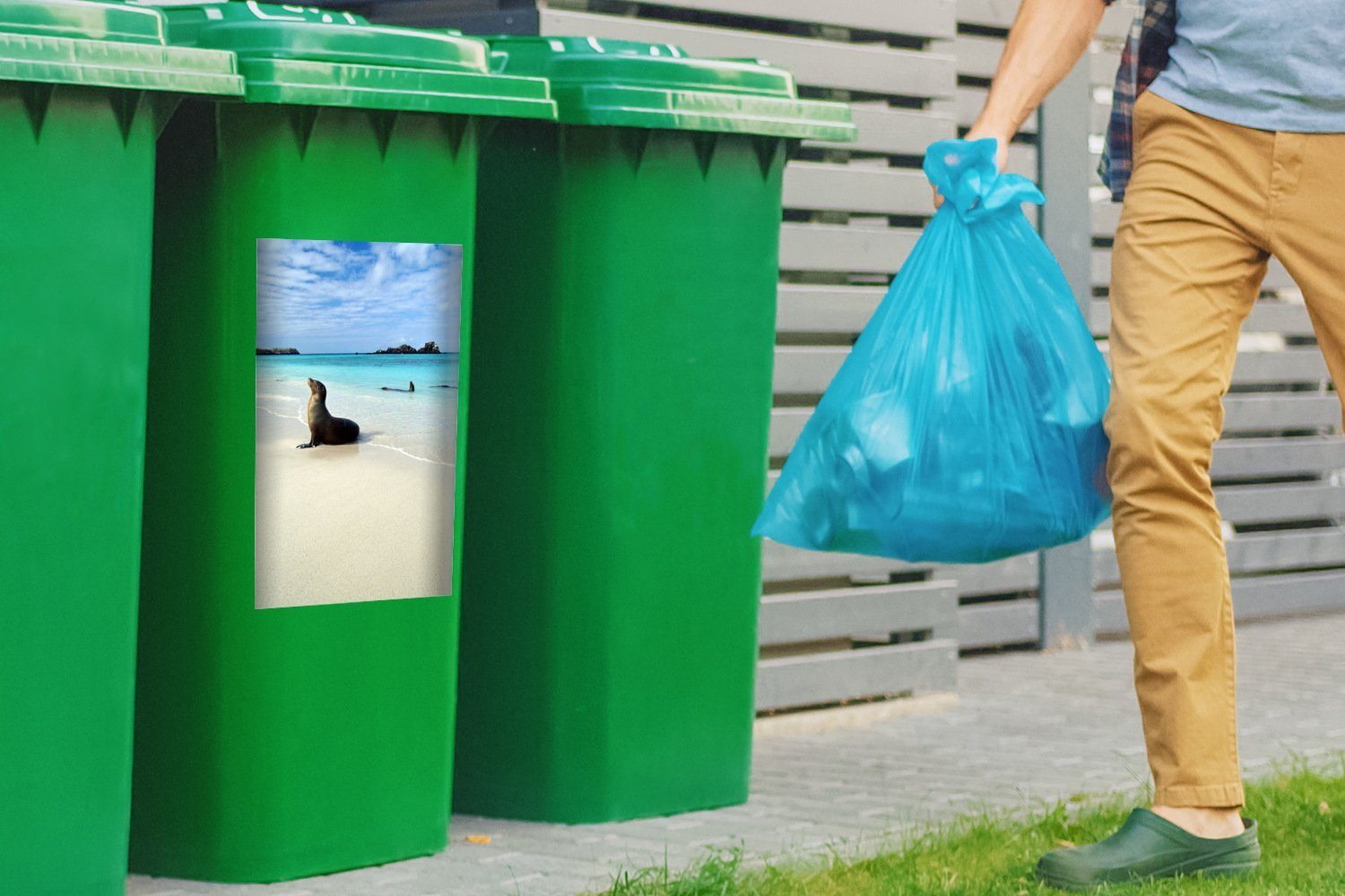 Abfalbehälter liegt der Sticker, St), klaren (1 im Mülleimer-aufkleber, MuchoWow Wandsticker Container, Robbe Mülltonne, Galapagos-Inseln Meerwasser Eine