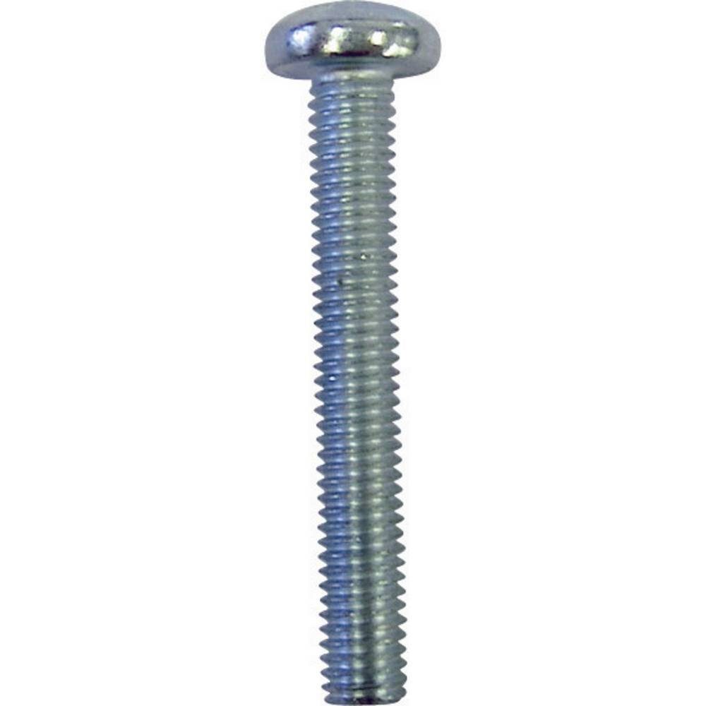 TOOLCRAFT Linsenschraube Linsenschrauben 839892