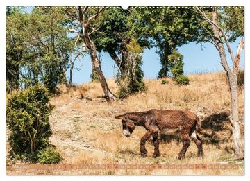 CALVENDO Wandkalender Esel der Welt - Lieblings Langohren (Premium, hochwertiger DIN A2 Wandkalender 2023, Kunstdruck in Hochglanz)