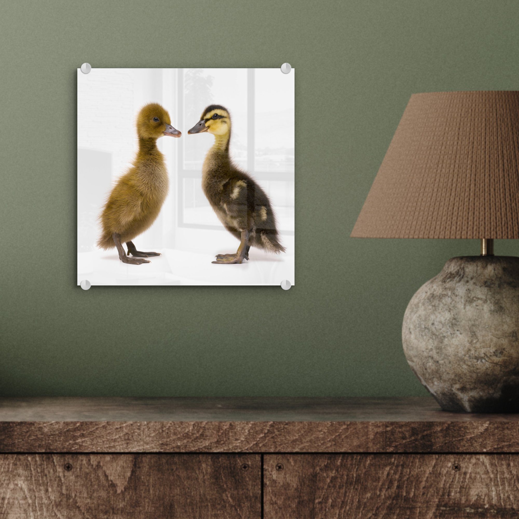 auf Glasbilder Acrylglasbild MuchoWow Zwei St), Glas - Baby-Enten, auf (1 Wanddekoration Glas Foto - Wandbild Bilder -
