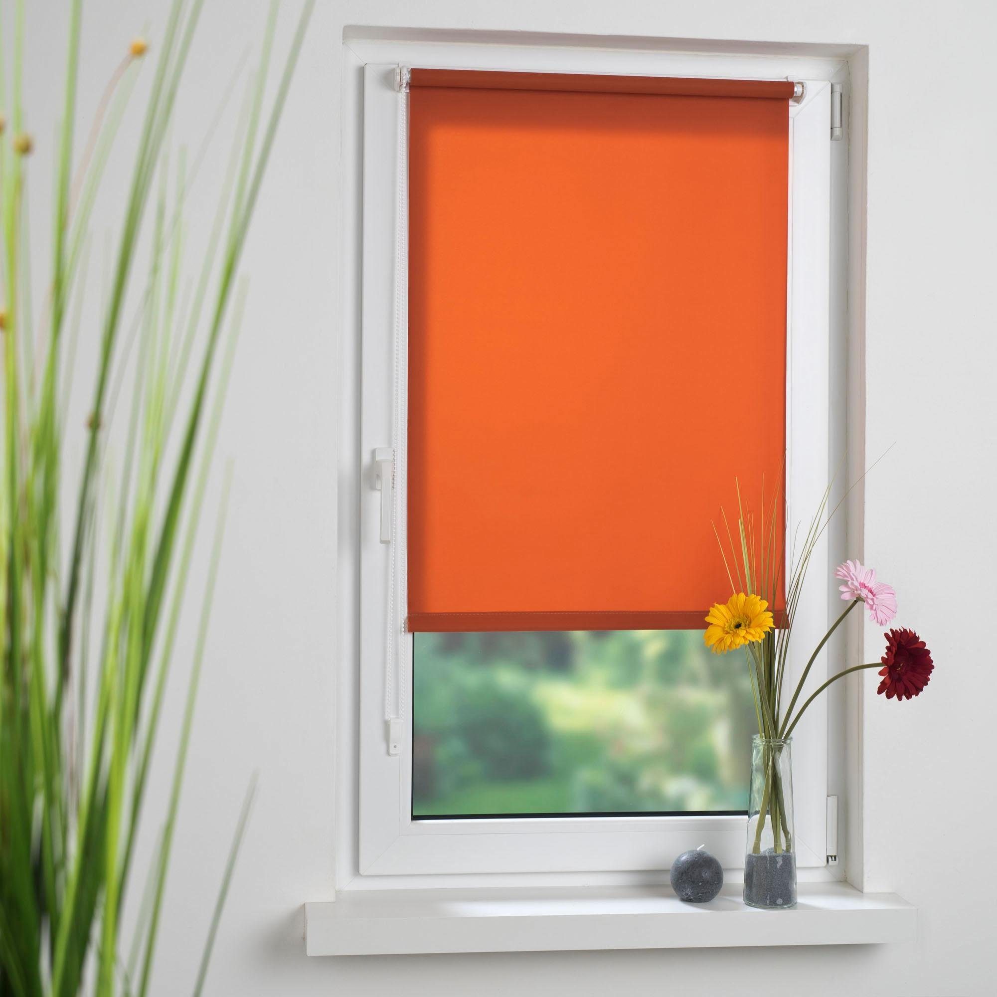 Seitenzugrollo Klemmfix, Liedeco, Lichtschutz, ohne Bohren, günstig online kaufen