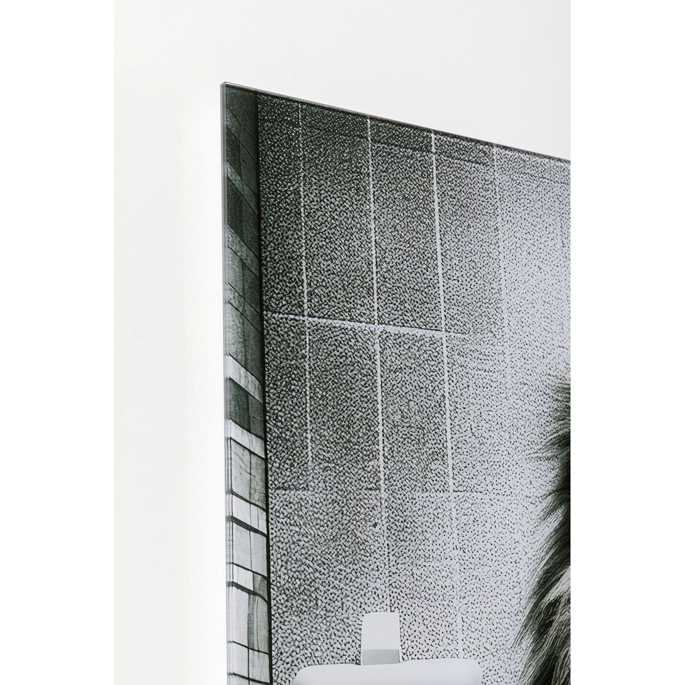 Kare Design Glasbild Bath Lion, Löwe, günstig online kaufen