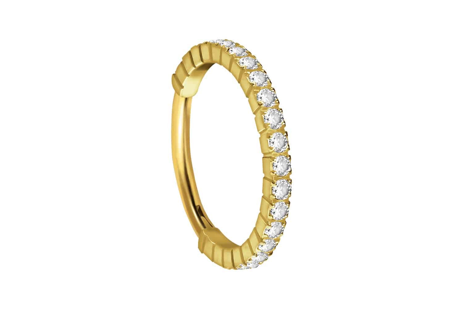 Nasenpiercing Titan Segmentring Clicker EINGEFASSTE KRISTALLE