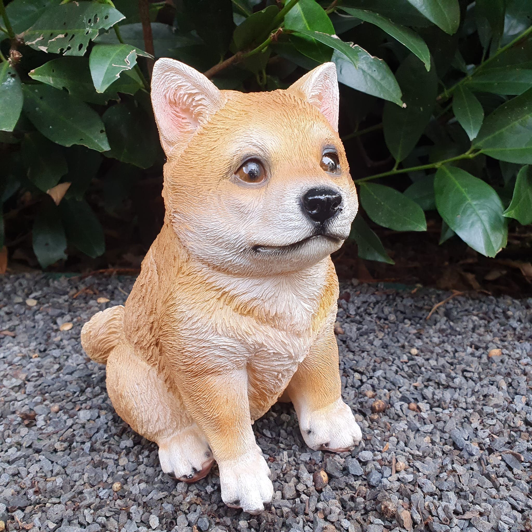 Aspinaworld Gartenfigur Shiba Inu Hunde Figur sitzt 19 cm