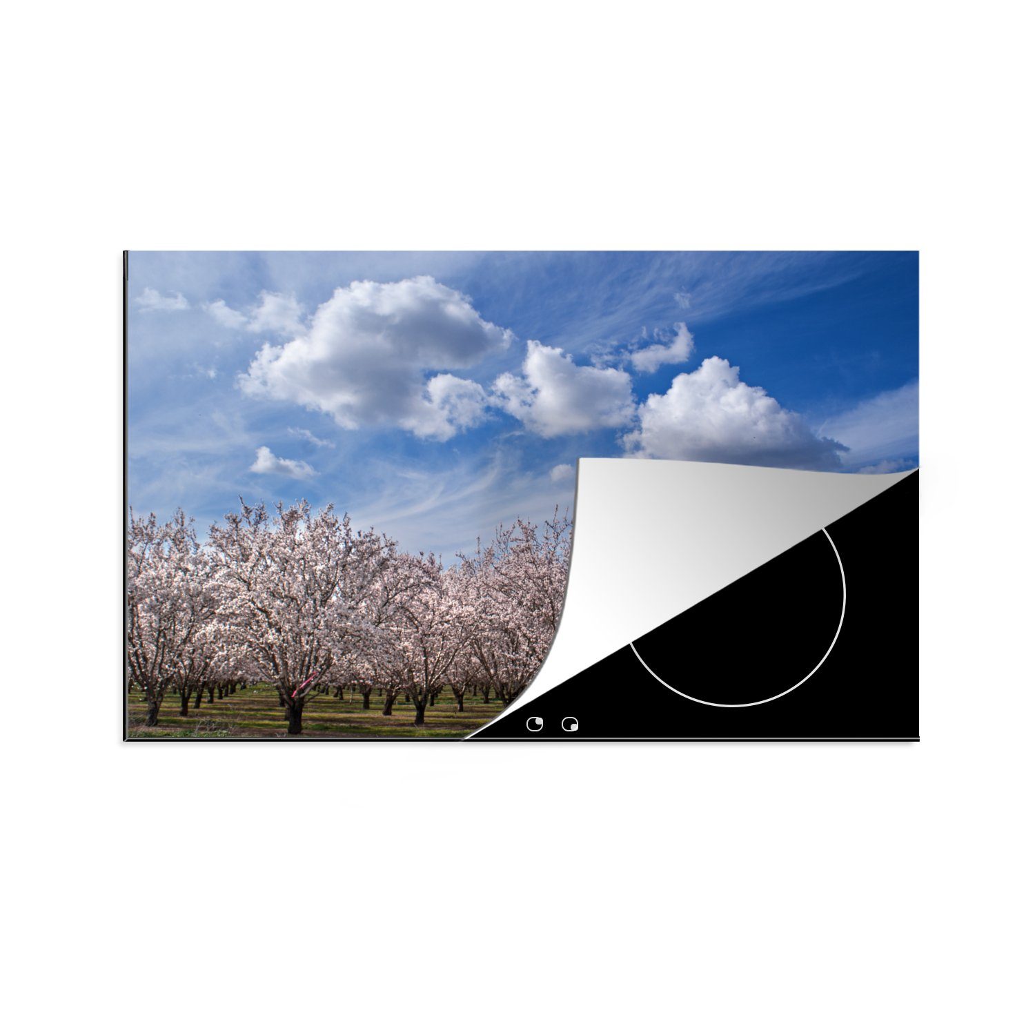 MuchoWow Herdblende-/Abdeckplatte Mandelbäume unter klarem Himmel, Vinyl, (1 tlg), 81x52 cm, Induktionskochfeld Schutz für die küche, Ceranfeldabdeckung