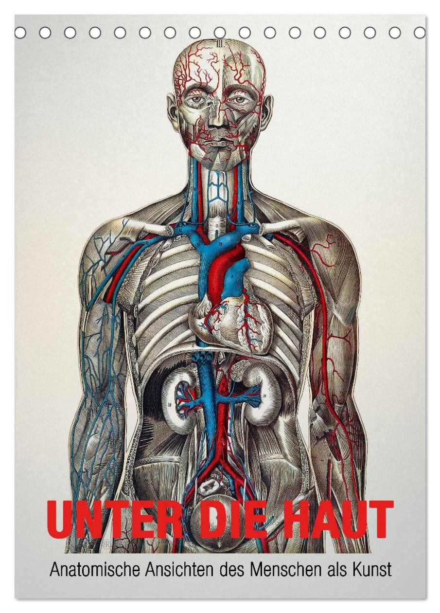 CALVENDO Настенный календарь Unter die Haut (Tischkalender 2026 DIN A5 hoch), CALVENDO Monatskalend