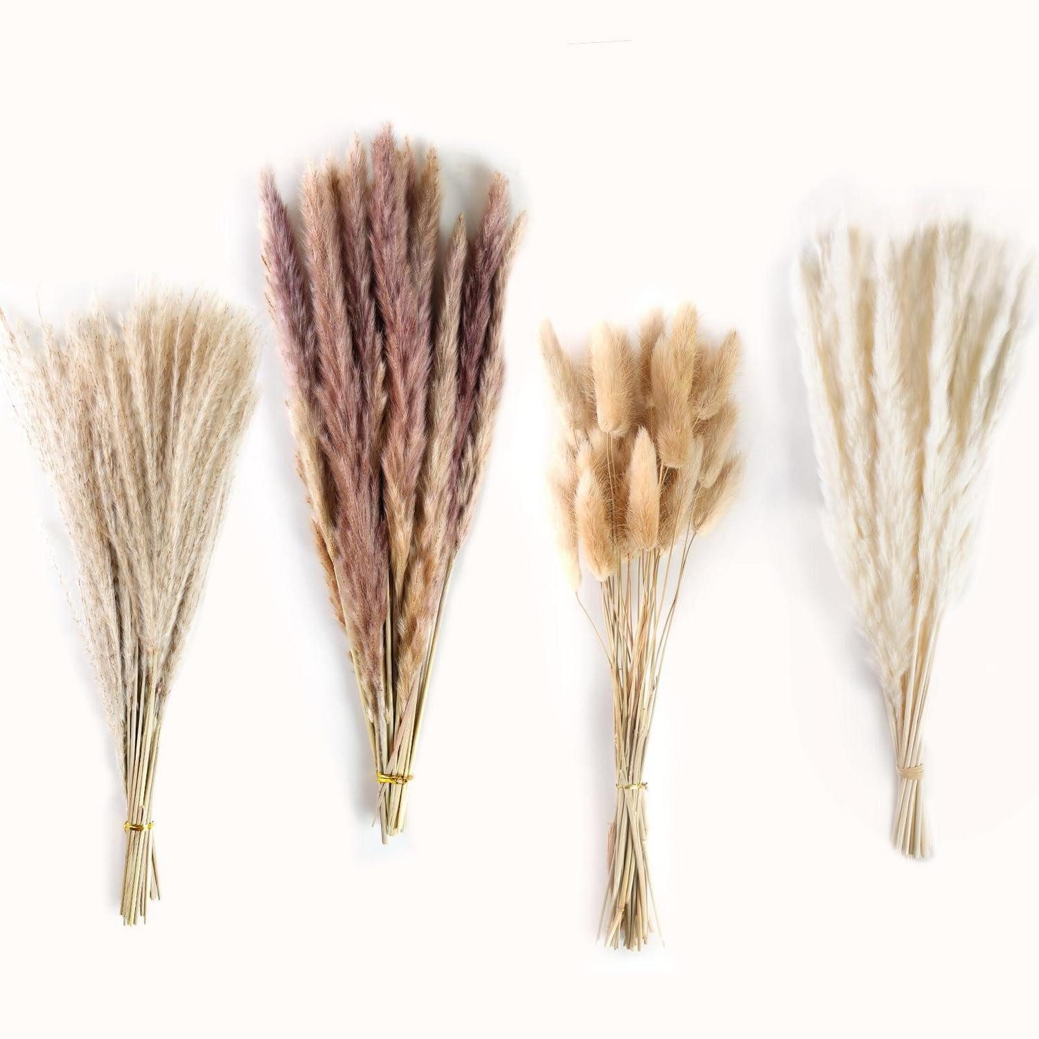 Trockenblume Pampasgras Deko Set 80 Stück, LuxusKollektion, Höhe 10 cm