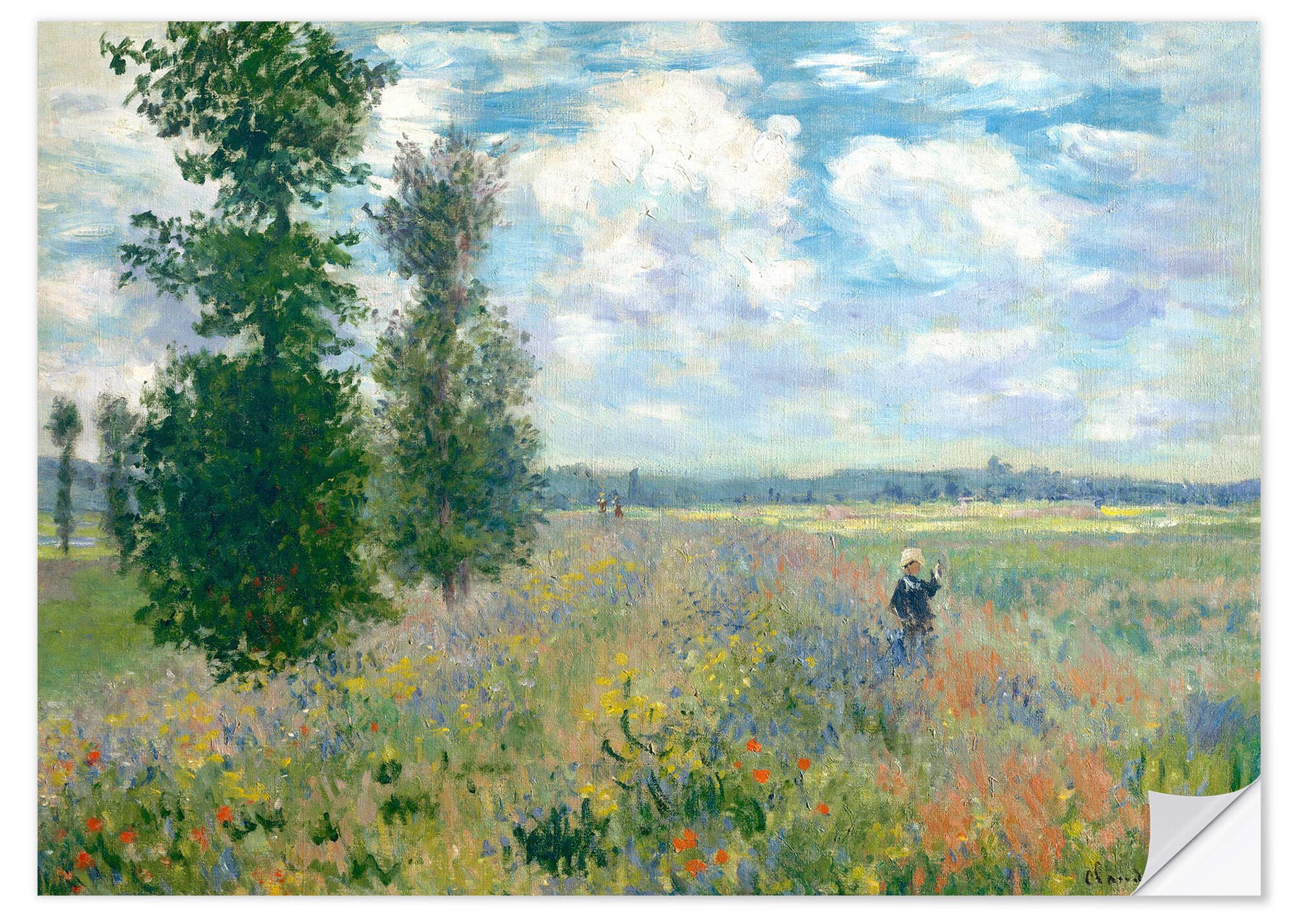 Posterlounge Wandbild Mohnfelder in der Nähe günstig online kaufen