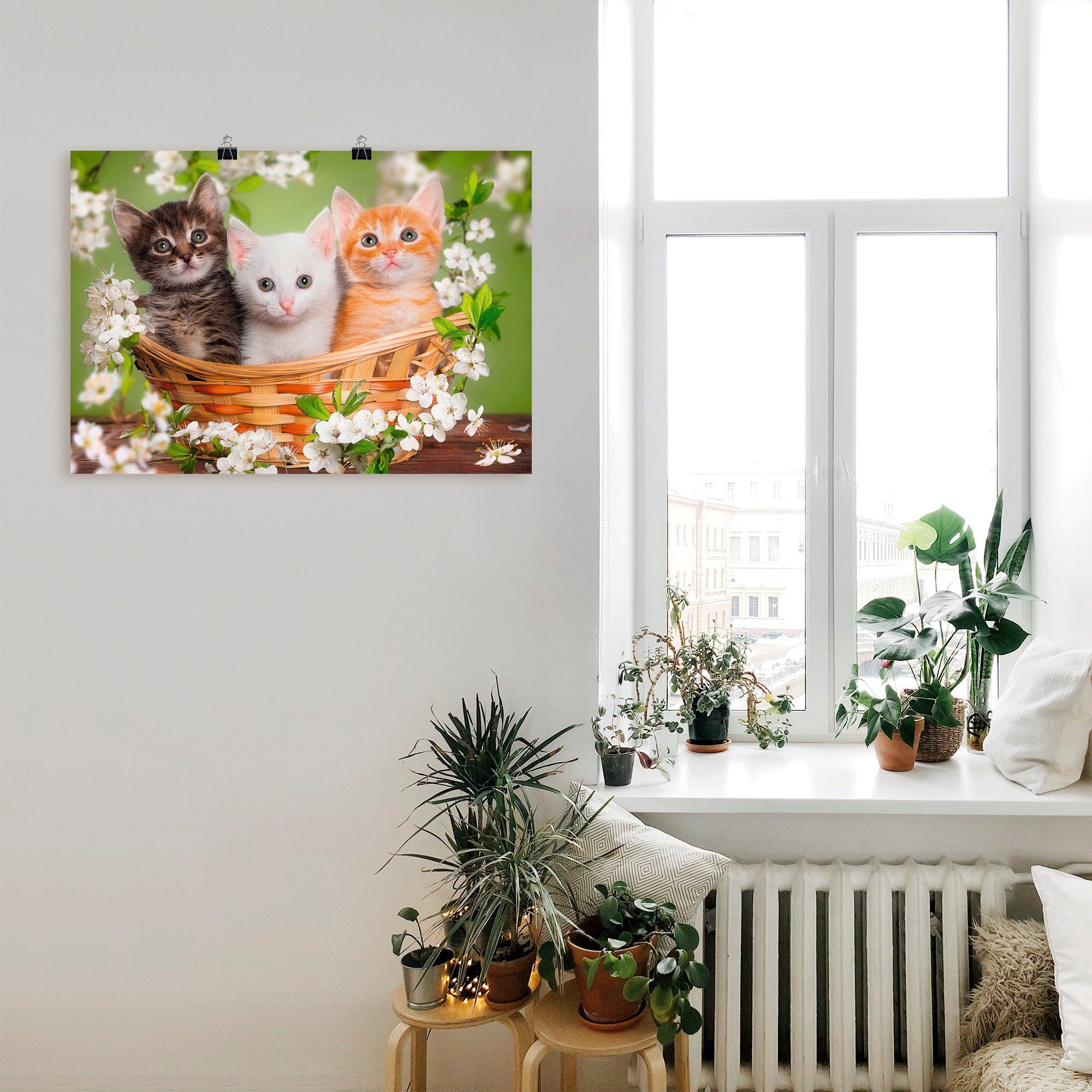 als in Alubild, Katzen Leinwandbild, sitzen Poster St), in Korb, Wandaufkleber (1 einem Wandbild Artland Größen oder versch. Haustiere