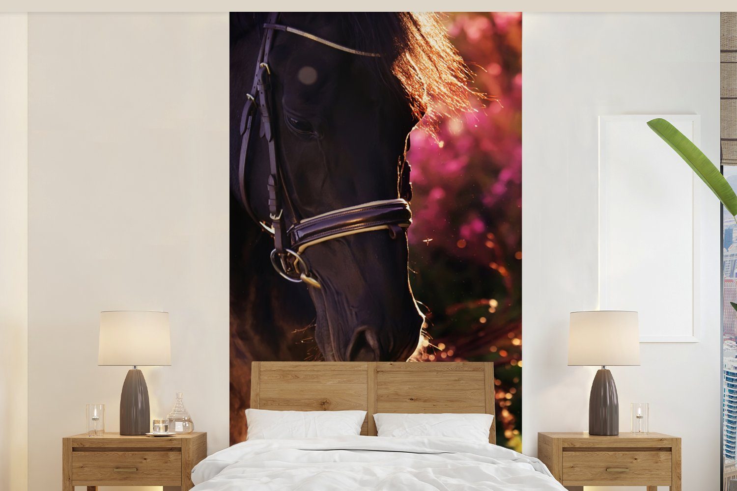 Schlafzimmer - Porträt, Sonne St), MuchoWow Fototapete Matt, (2 Pferd Küche, bedruckt, für Vliestapete Wohnzimmer - Fototapete