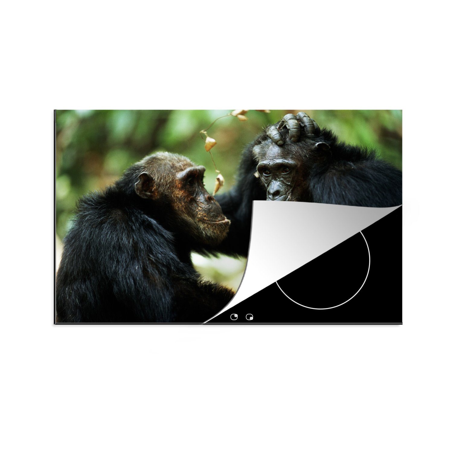 MuchoWow Herdblende-/Abdeckplatte Zwei Schimpansen, Vinyl, (1 tlg), 81x52 cm, Induktionskochfeld Schutz für die küche, Ceranfeldabdeckung | Herdabdeckplatten
