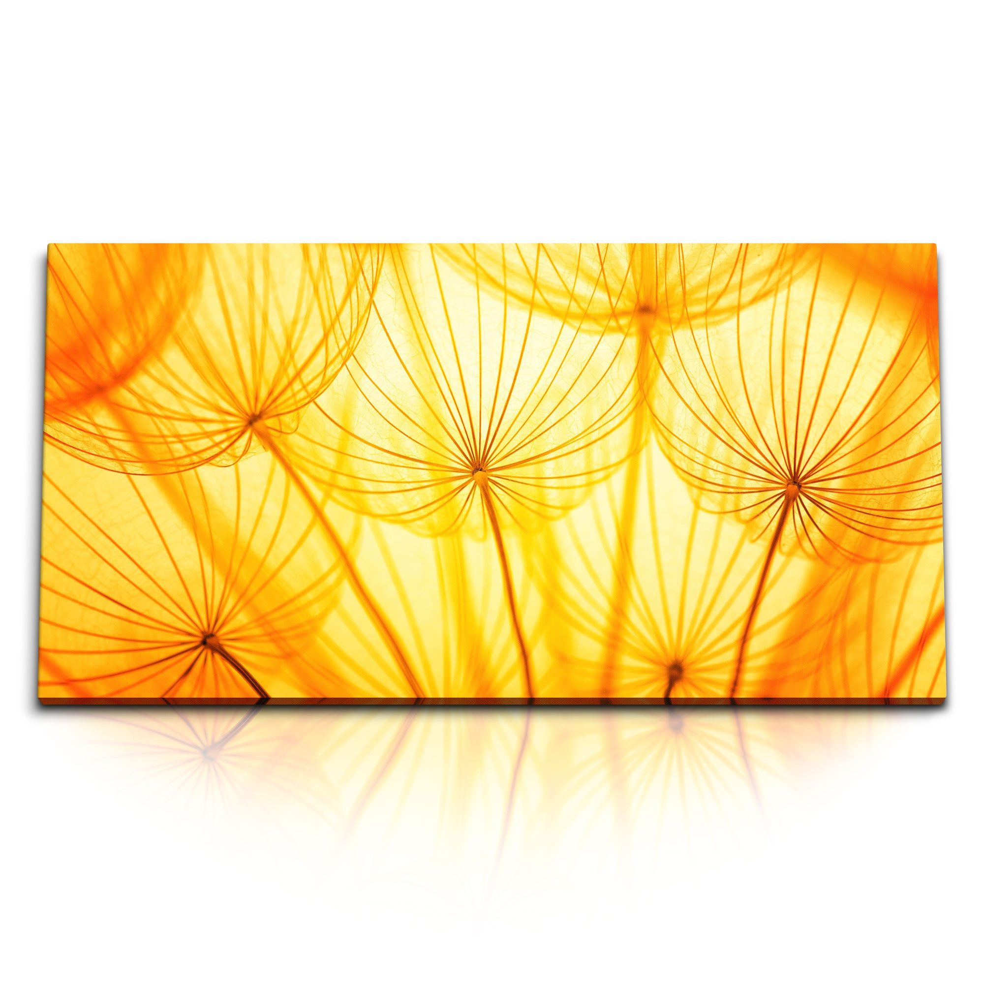 Leinwandbild Kunstdruck Bilder 120x60cm Makrofotografie Pusteblume Gelb Nahaufnahme