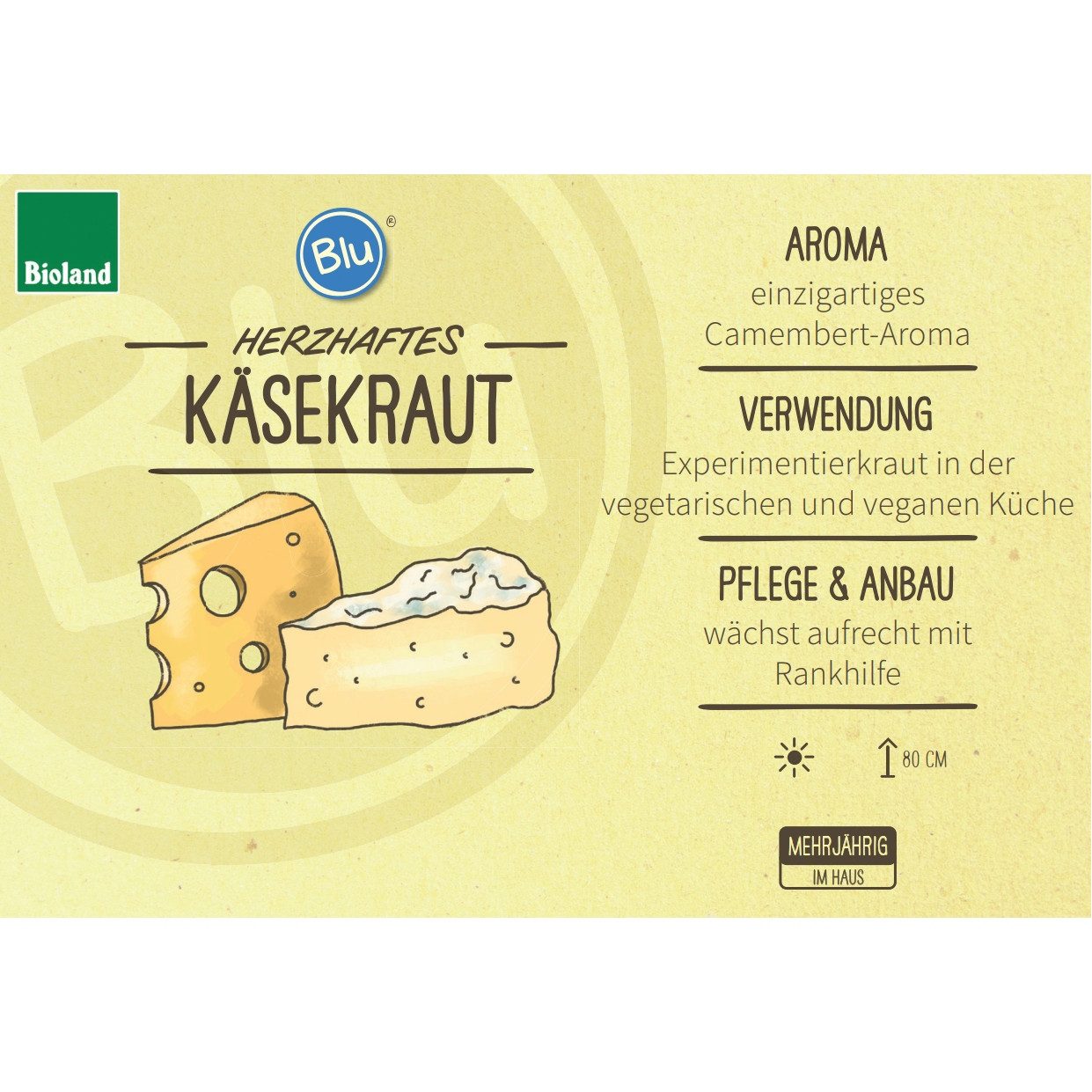 Exotenherz Gewürzkraut Käsekraut Paederia lanuginosa Kräuterpflanze im 12cm Topf
