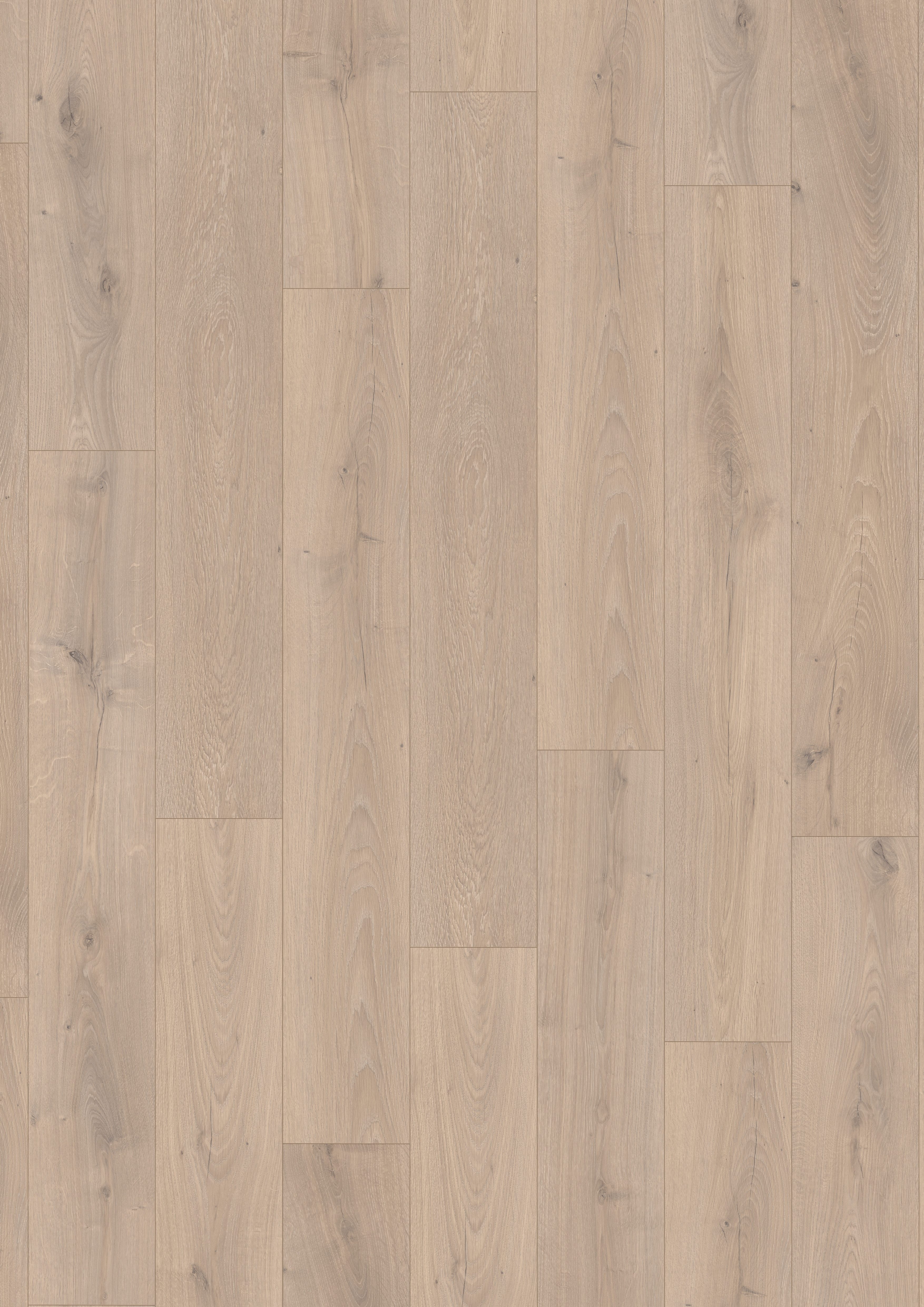 EGGER Laminat Promo NL2139 Florenz Eiche, (8mm, 1,995qm), Praktisch & Pflegeleicht