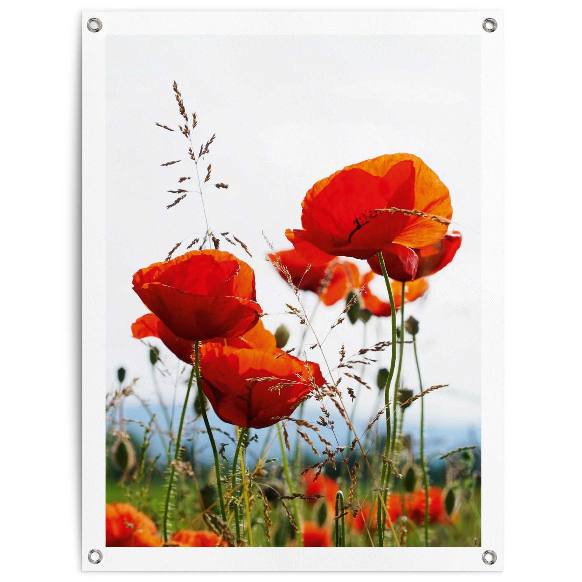 Reinders! Poster Mohnblumen, Outdoor für Garten oder Balkon