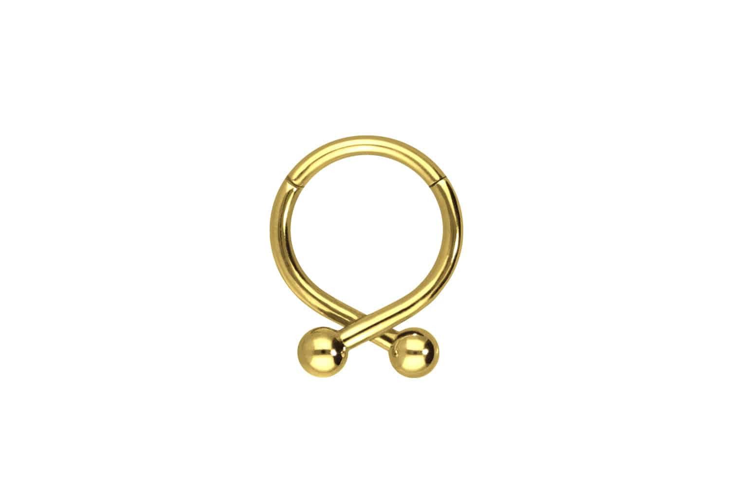 PIERCINGLINE Nasenpiercing Chirurgenstahl Segmentring Clicker 2 günstig online kaufen