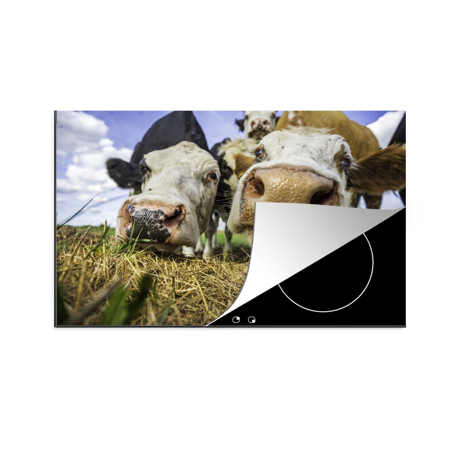MuchoWow Herdblende-/Abdeckplatte Kühe - Heu - Porträt, Vinyl, (1 tlg), 81x52 cm, Induktionskochfeld Schutz für die küche, Ceranfeldabdeckung