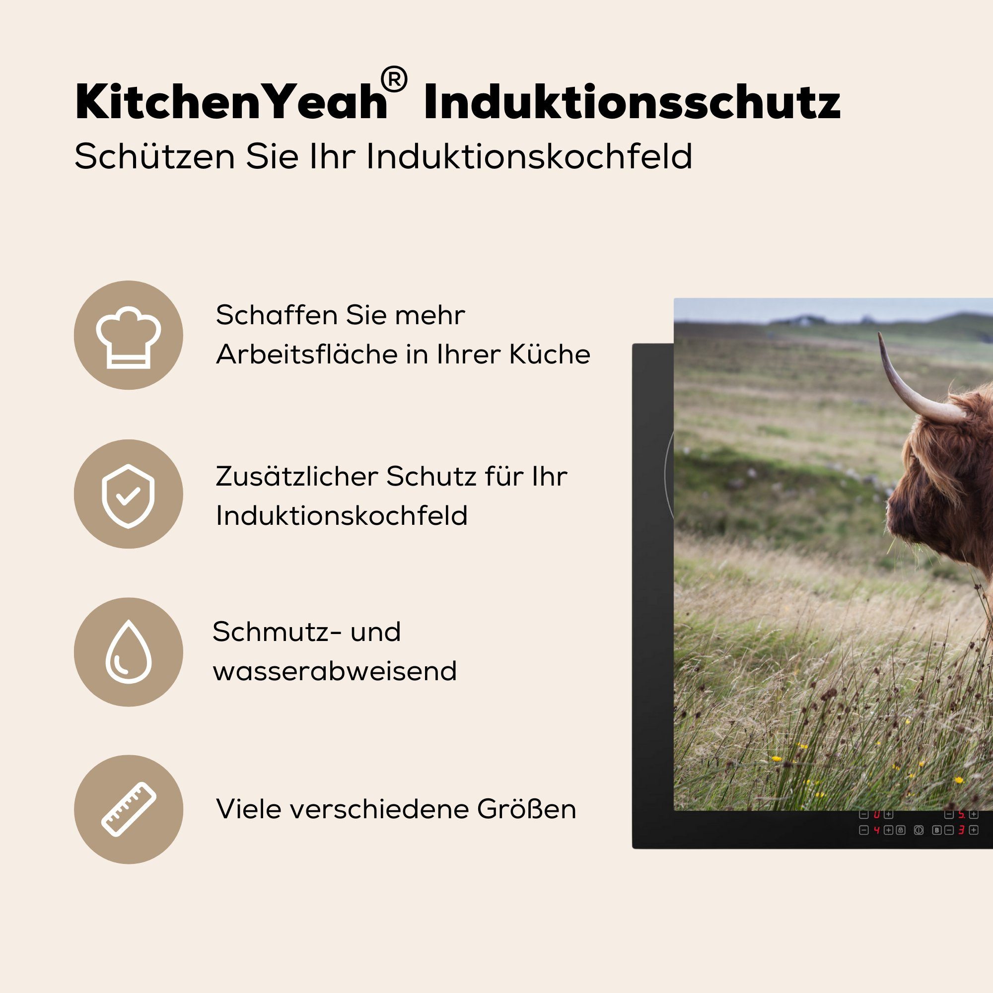 77x59 Natur - MuchoWow küche Herdblende-/Abdeckplatte - für tlg), cm, Highlander Arbeitsplatte Ceranfeldabdeckung, Vinyl, Meer, Schottische (1