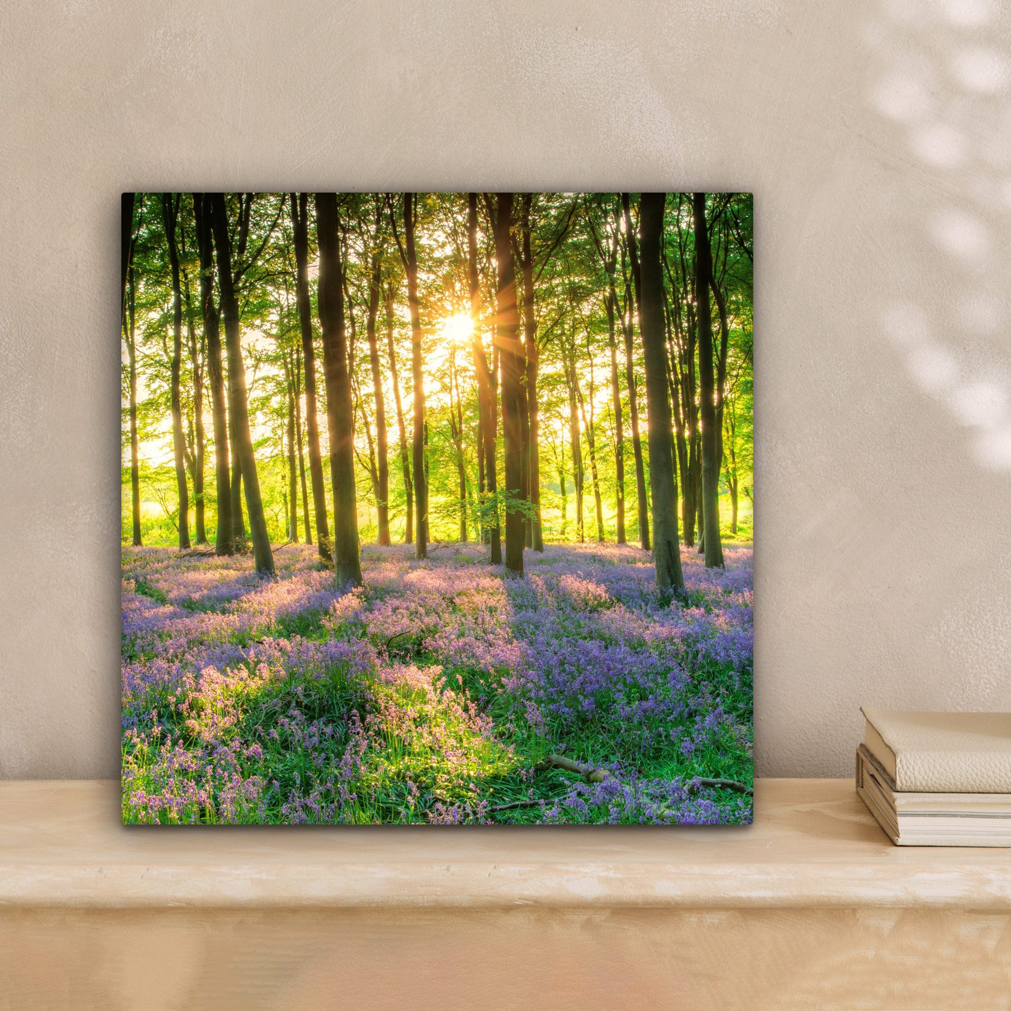 OneMillionCanvasses® Leinwandbild Frühling - Wald - Sonne, Fotodruck (1 St) günstig online kaufen