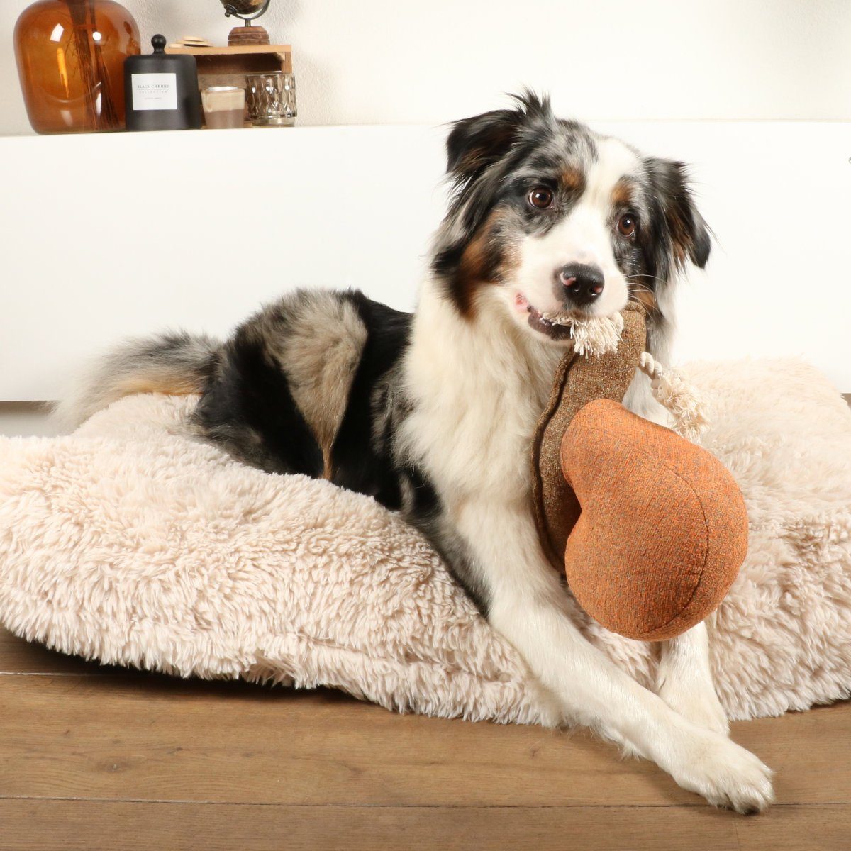 D&D Tierkuscheltier Hundespielzeug Sheldon Chenille mit Quietscher braun