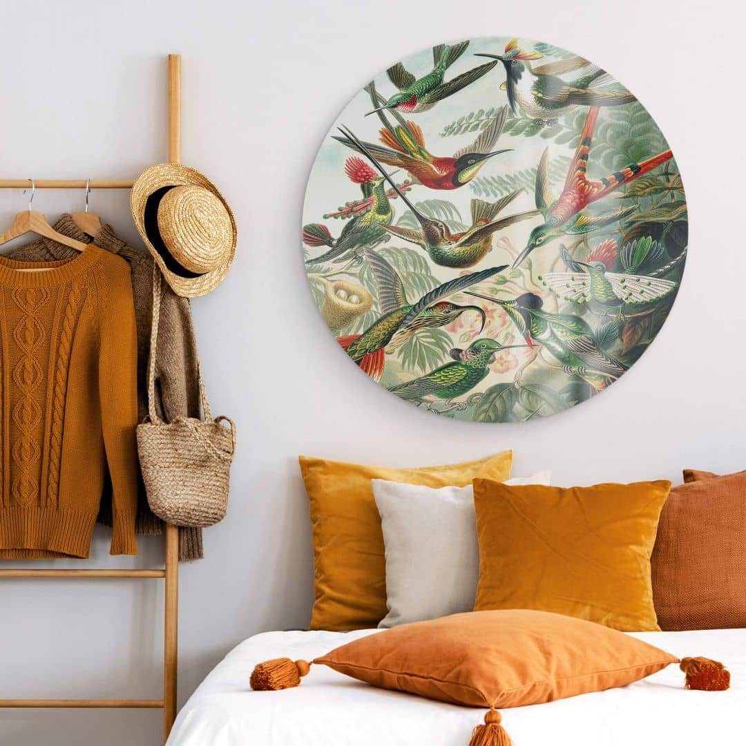 K&L Wall Art Glasbild Glas Wandbild Rund Glasbild Haeckel tropischer Regenwald Kolibris, Wandschutz Deko Bilder