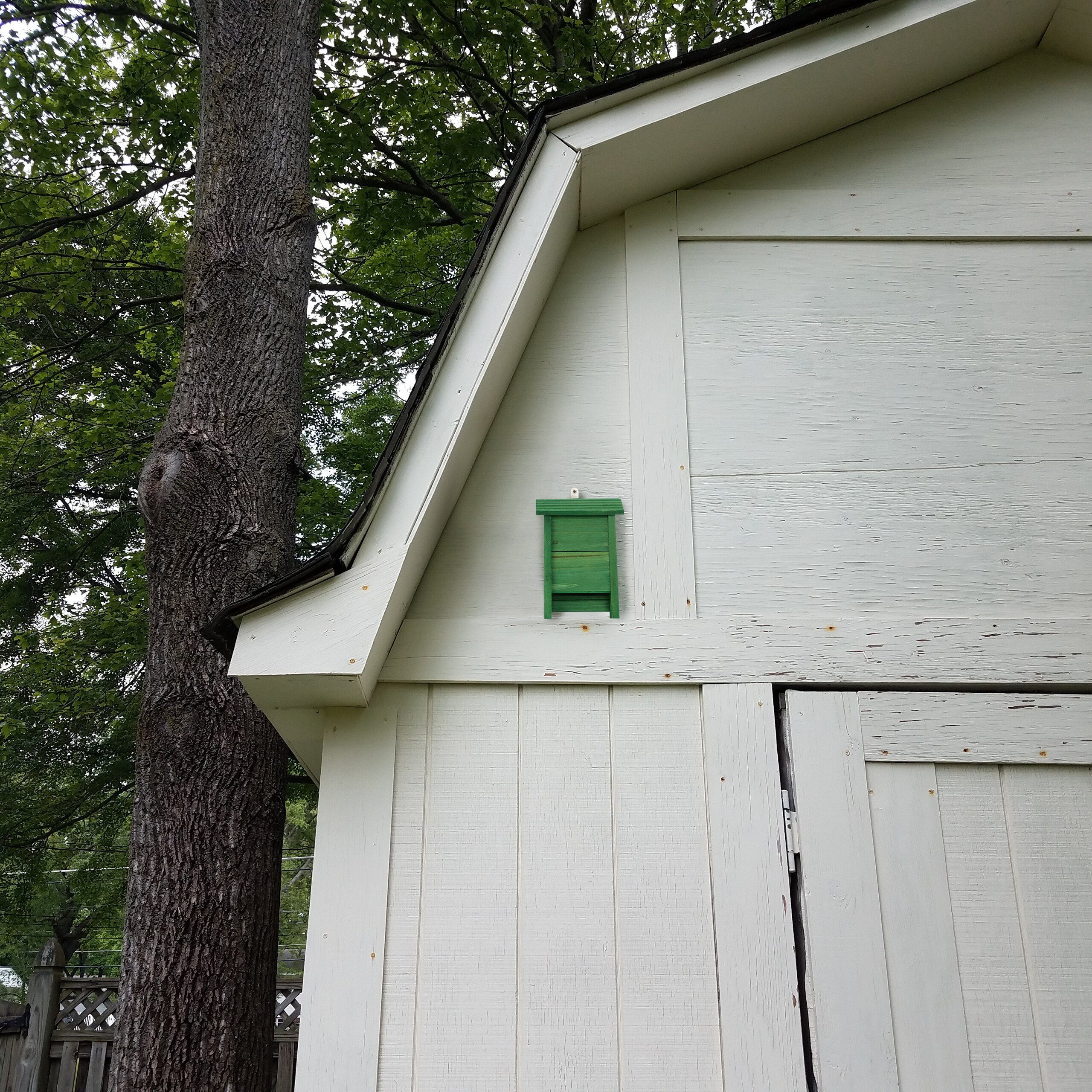 Vogelhaus aus Holz Grüner relaxdays Fledermauskasten