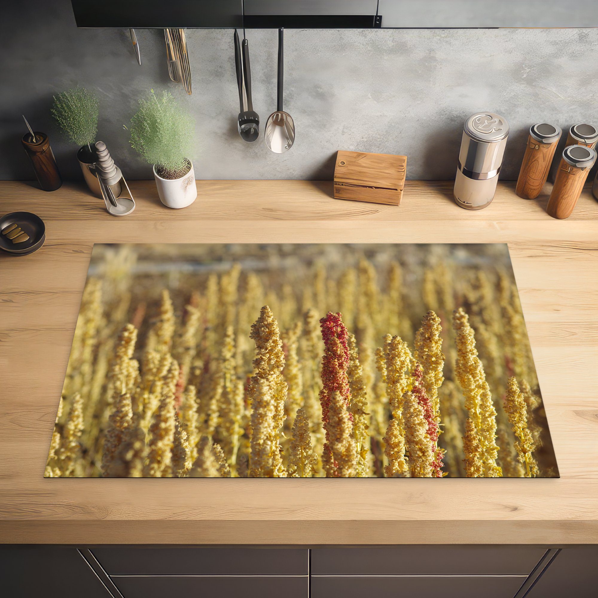 MuchoWow Herdblende-/Abdeckplatte Gelbe cm, Ceranfeldabdeckung tlg), küche, die der 81x52 Schutz für Quinoa-Pflanzen, Farben (1 Vinyl, Induktionskochfeld
