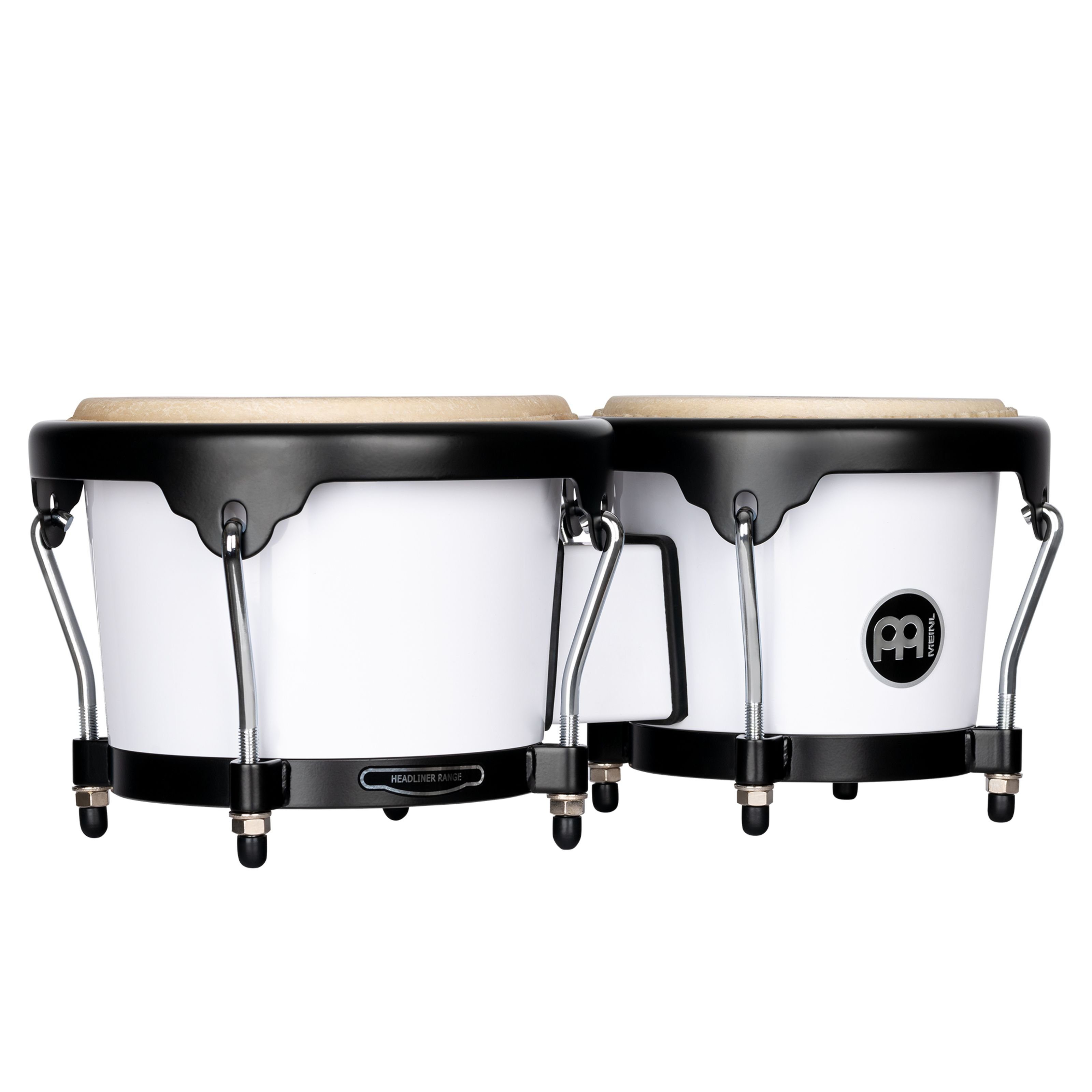 Bongo