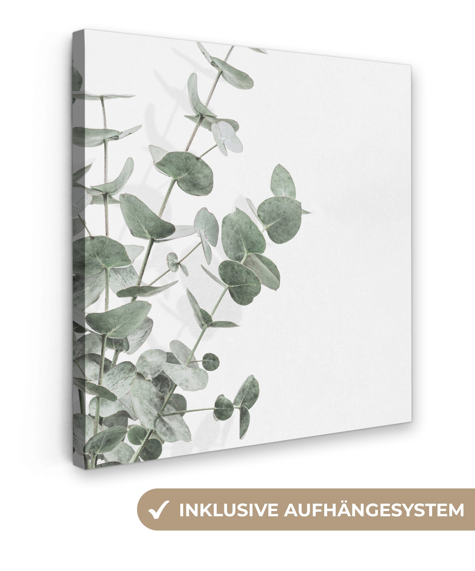 OneMillionCanvasses® Leinwandbild Eukalyptus - Blätter - Natur - Grün, Foto günstig online kaufen