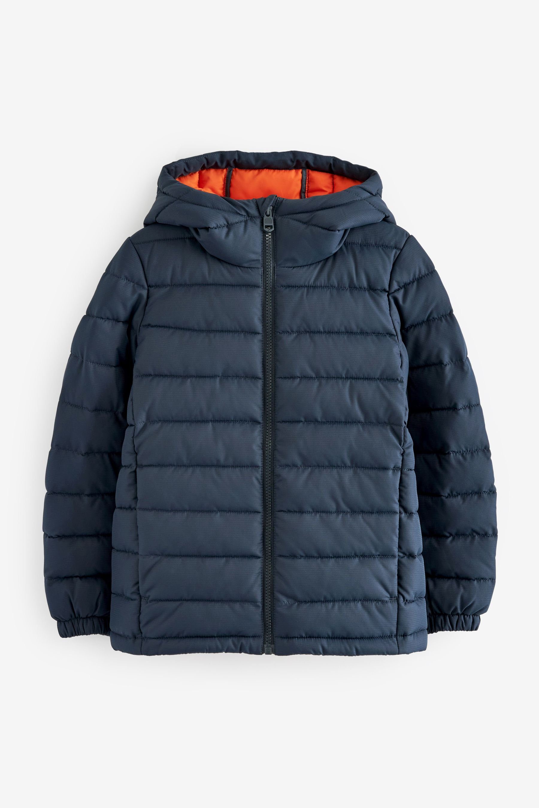 Next (1-St) Steppjacke Kapuzenjacke mittelschwere Blue Navy Gesteppte,