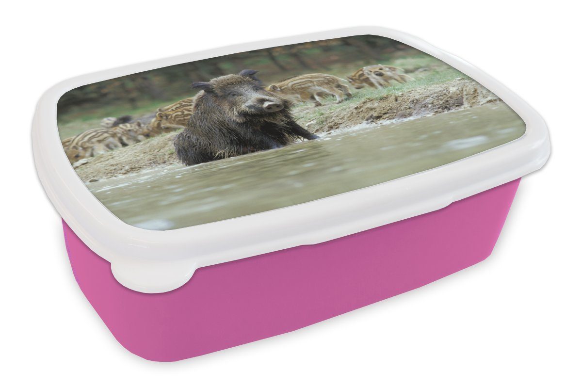 MuchoWow Lunchbox Schwein - Wild - Groß, Kunststoff, (2-tlg), Brotbox für Erwachsene, Brotdose Kinder, Snackbox, Mädchen, Kunststoff rosa