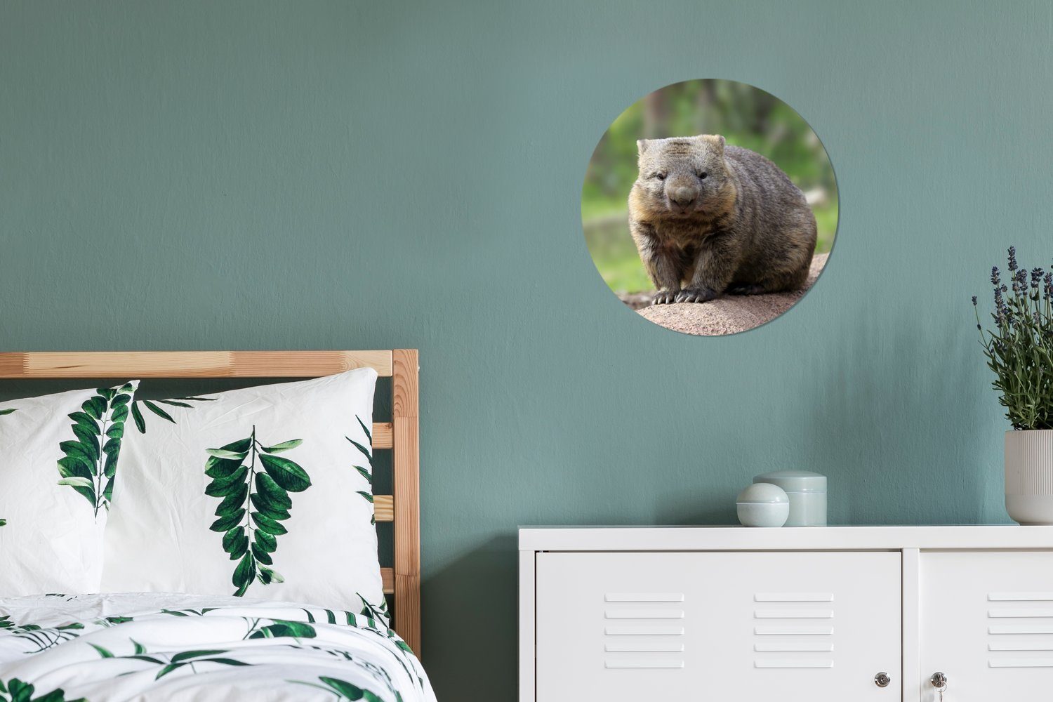 Gemälde Wohnzimmer, Wombat Wandbild, (1 Kreis cm St), 30x30 einem Ein Baumstamm, Rundes Wanddekoration auf MuchoWow sitzt Forex,