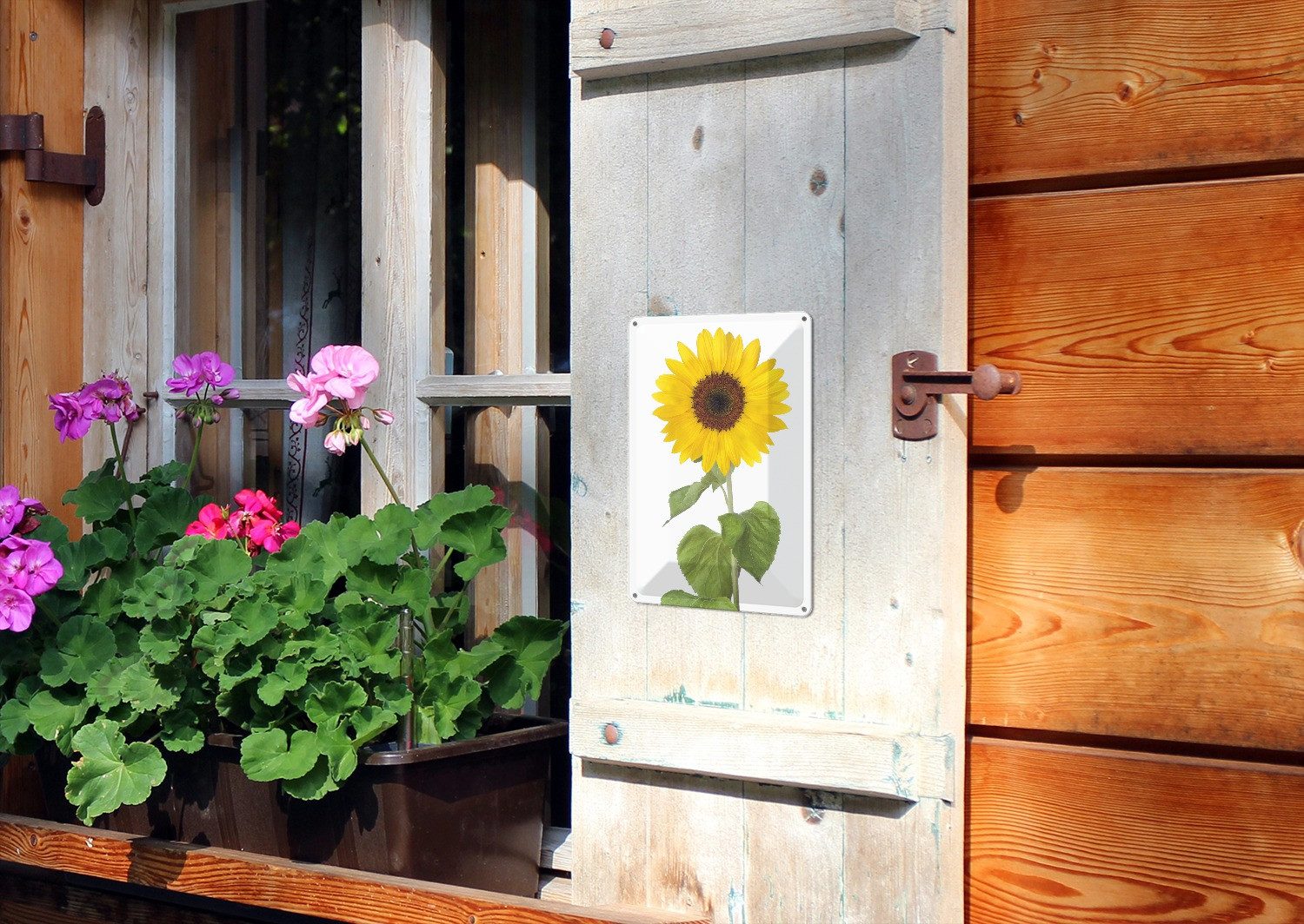Wallario Metallbild, Sonnenblume, in verschiedenen Ausführungen