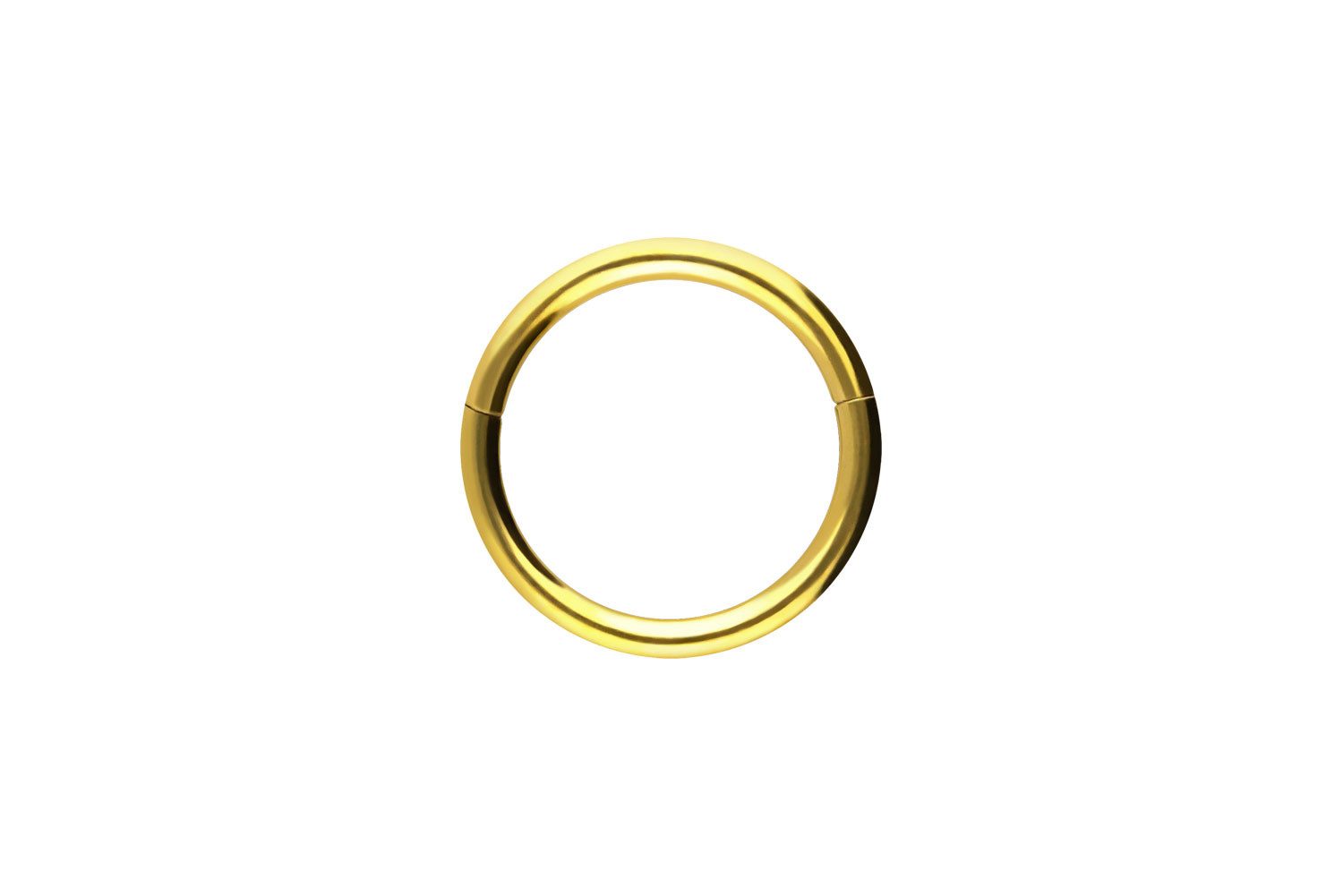 PIERCINGLINE Nasenpiercing Chirurgenstahl Segmentring Clicker Ohrpiercing S günstig online kaufen