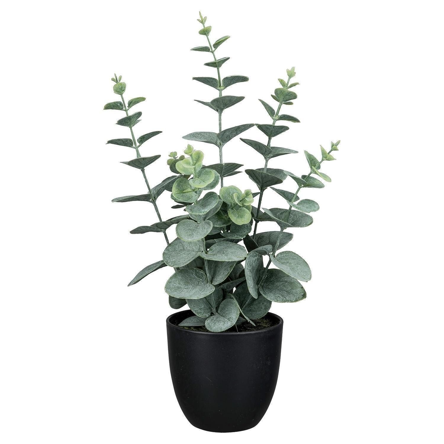Kunstpflanze Eukalyptus im Topf NELE, H 38 cm, Grün, Eukalyptus, Gasper, Hö günstig online kaufen