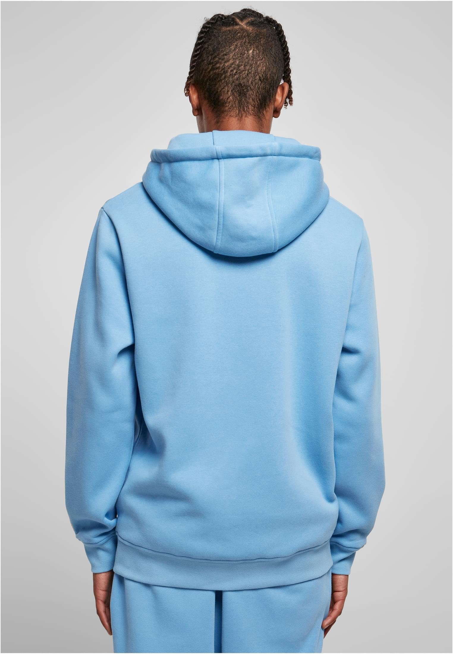 Hoody horizonblue Hoodie Starter Swing (1-tlg) Starter Herren