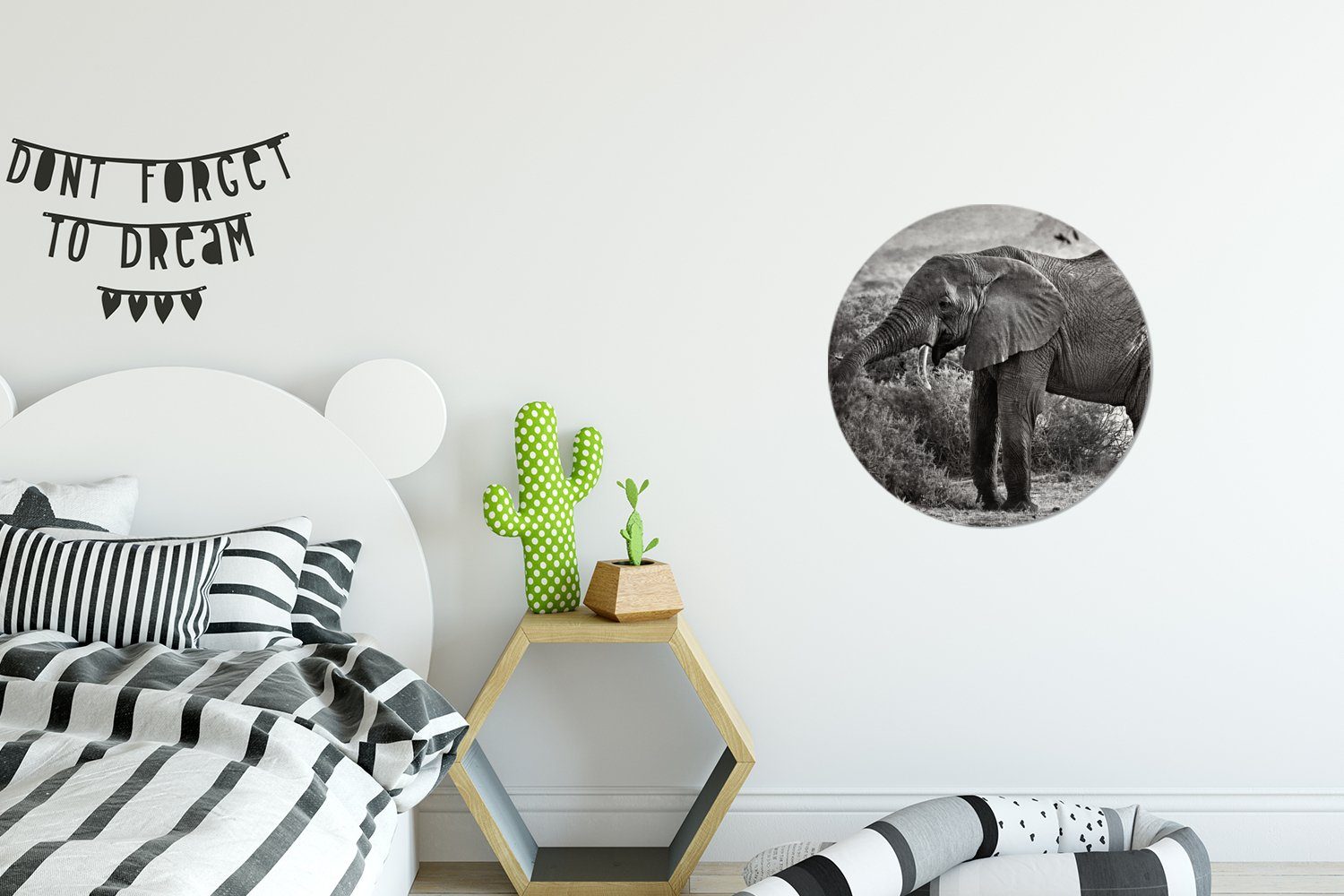 (1 Tiere Forex, - Gemälde - - - Schwarz Kreis Bäume cm Rundes Wohnzimmer, St), 30x30 MuchoWow Weiß, Wanddekoration Wandbild, Elefant