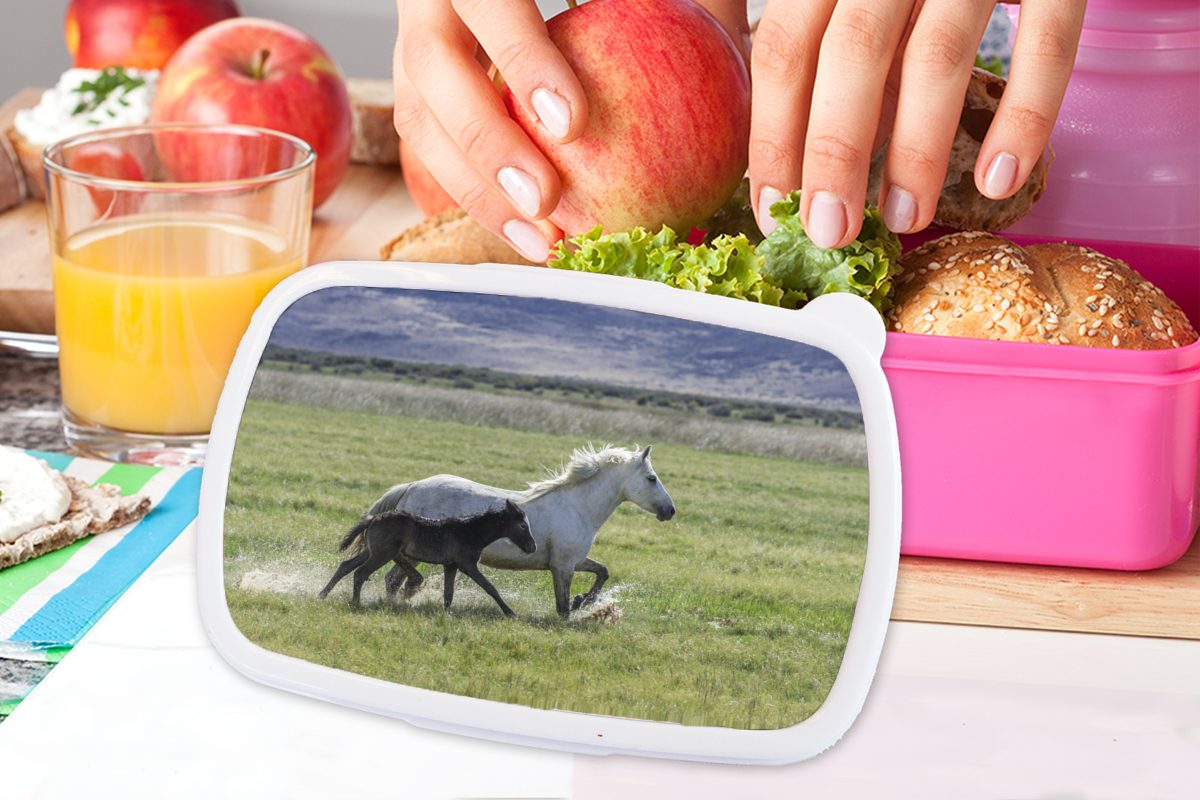 rosa Braun, Kinder, Pferde Fohlen Brotdose Erwachsene, Kunststoff (2-tlg), für - Snackbox, Mädchen, MuchoWow Brotbox Lunchbox - Kunststoff,